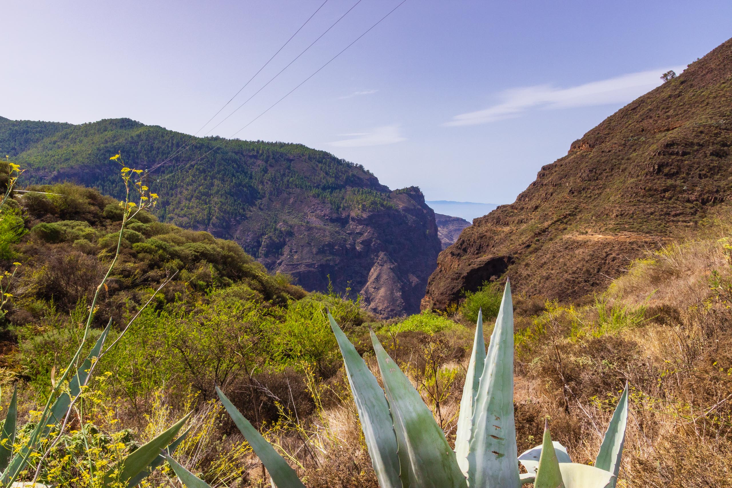 2017 09 GranCanaria El Hornillo 006