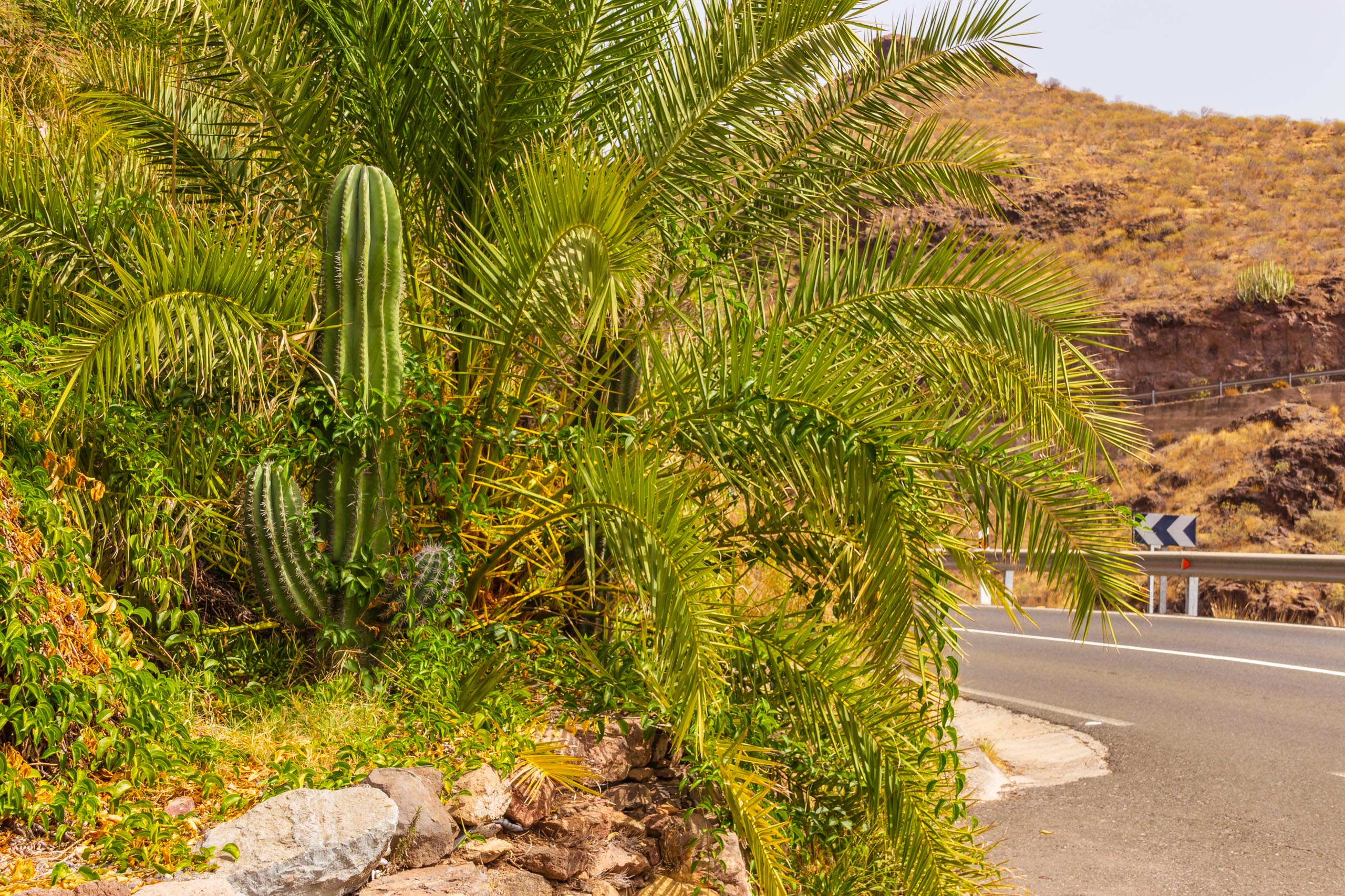 2017 09 GranCanaria Las Cañadas 007