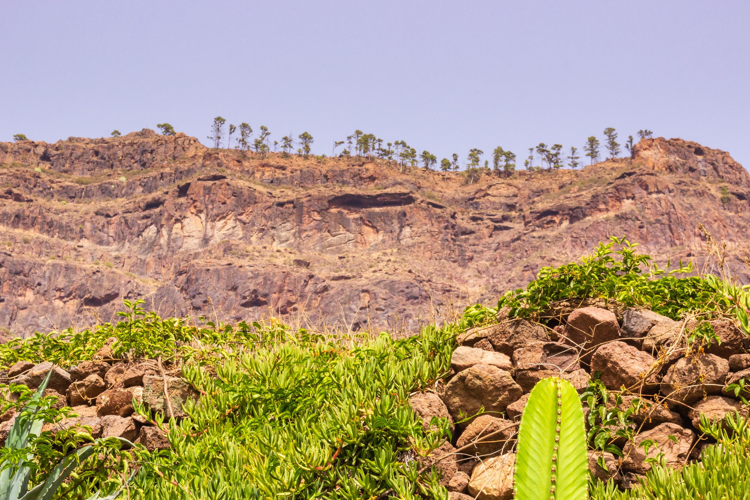 2017 09 GranCanaria Las Cañadas 008