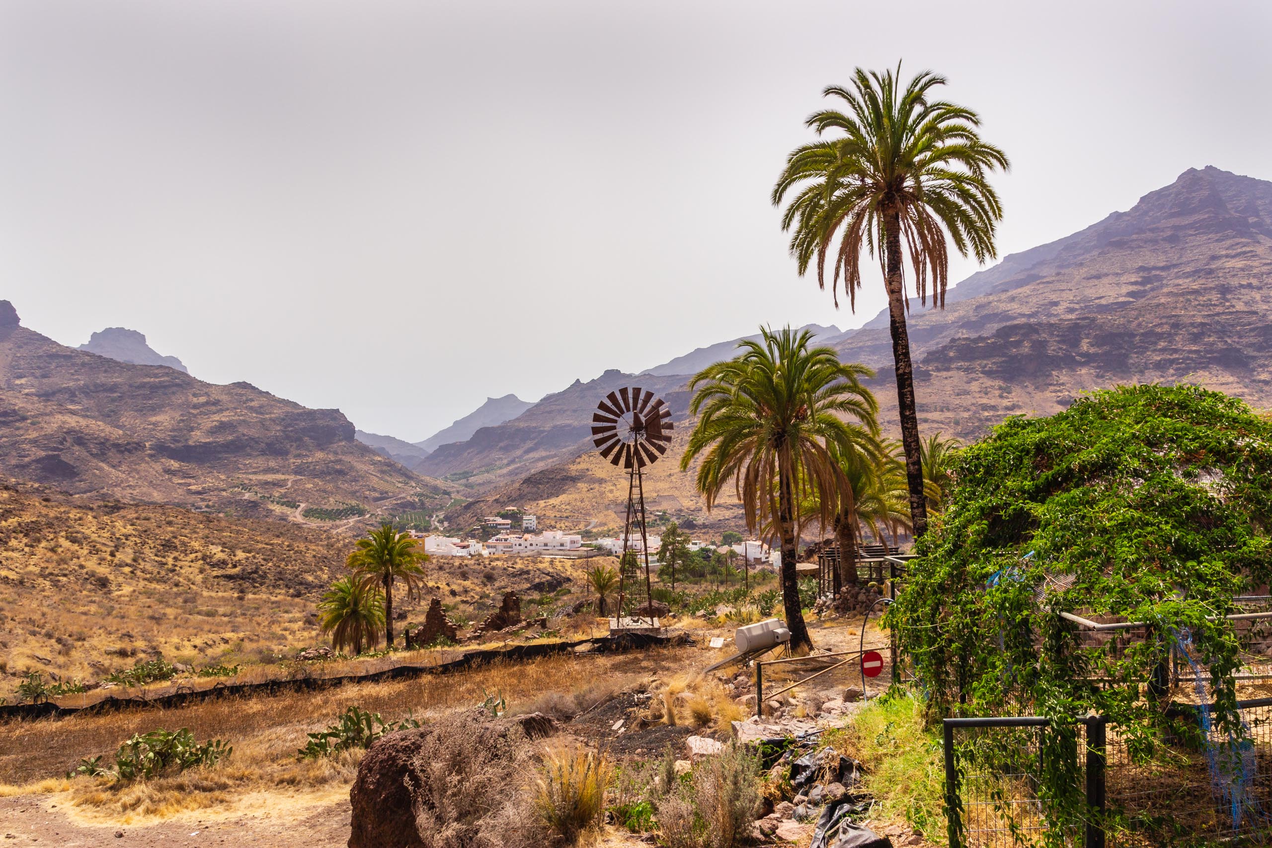 2017 09 GranCanaria Las Cañadas 011