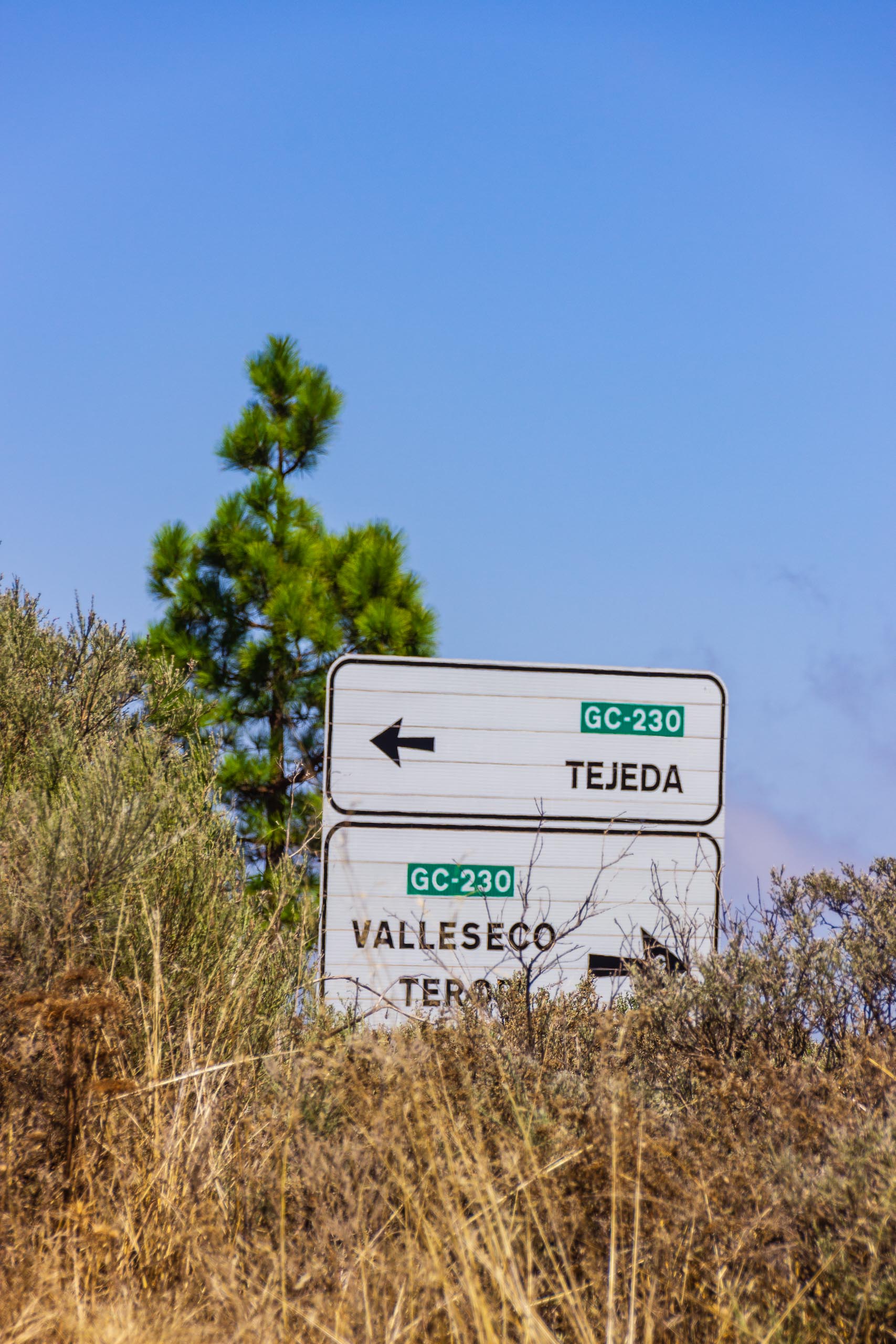 2017 09 GranCanaria Risco Prieto 005