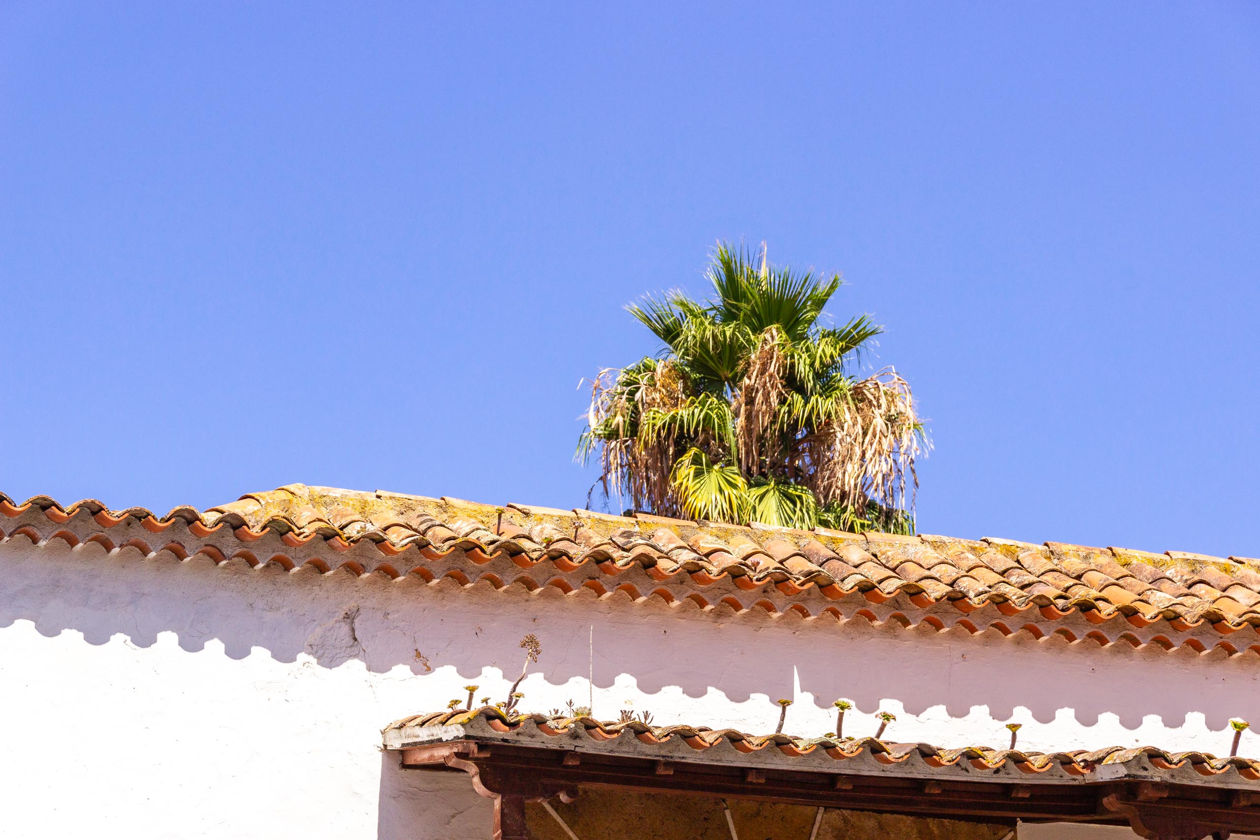 2017 09 GranCanaria Teror 1 022