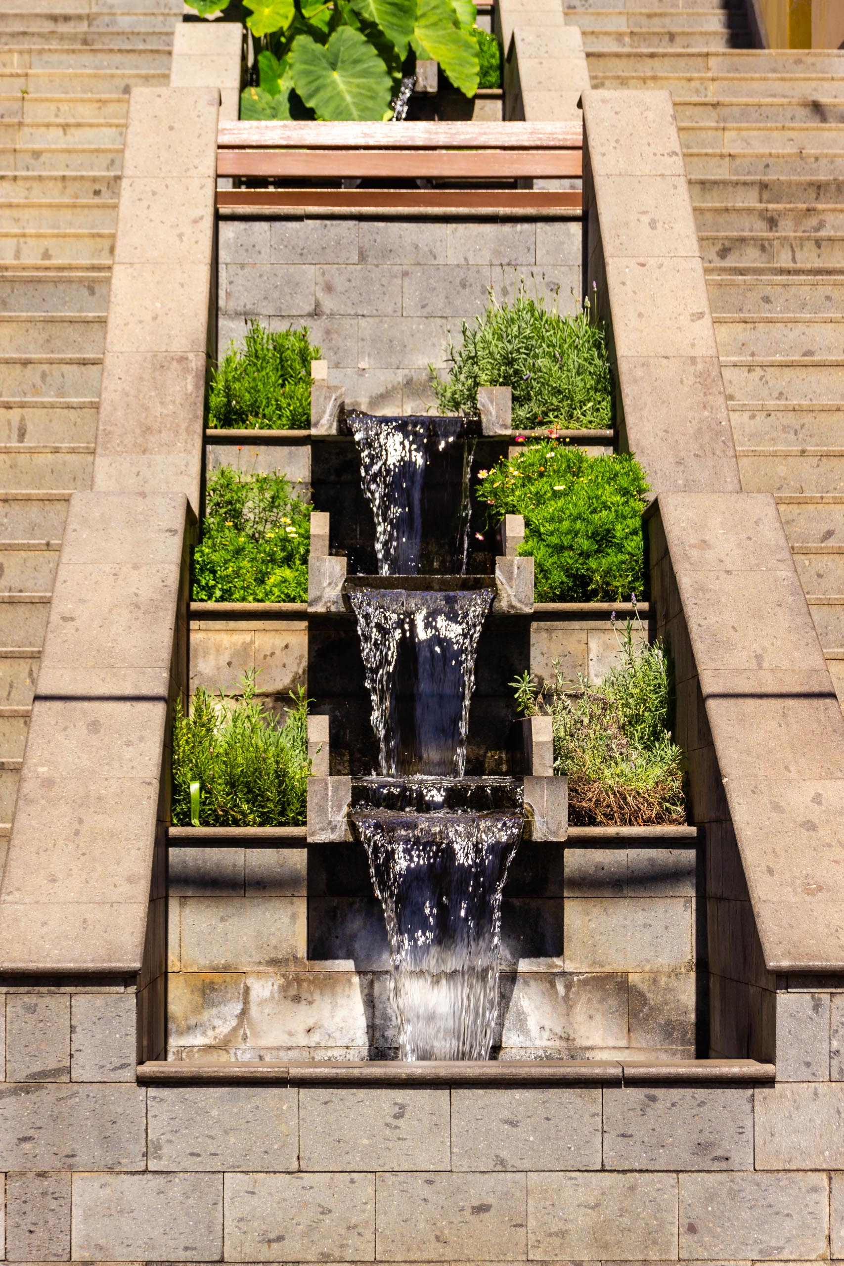 2017 09 GranCanaria Teror 1 029