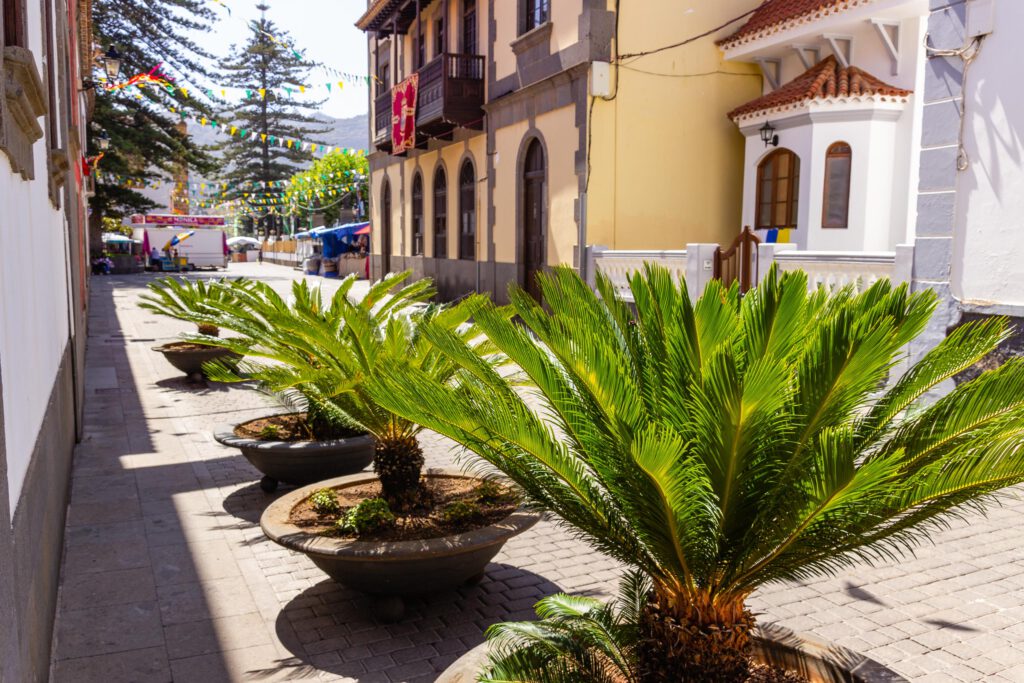 2017 09 GranCanaria Teror 2 001