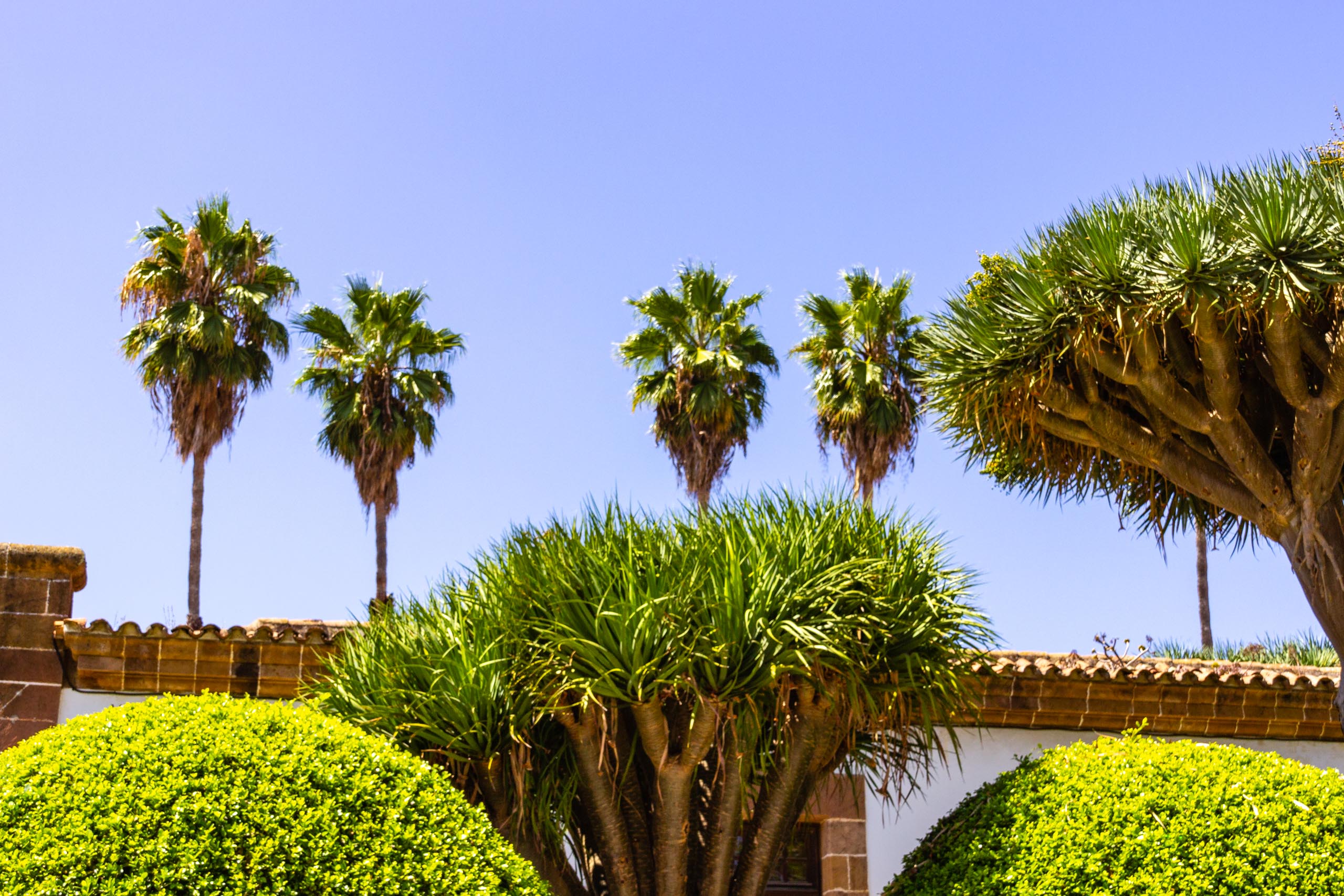 2017 09 GranCanaria Teror 2009