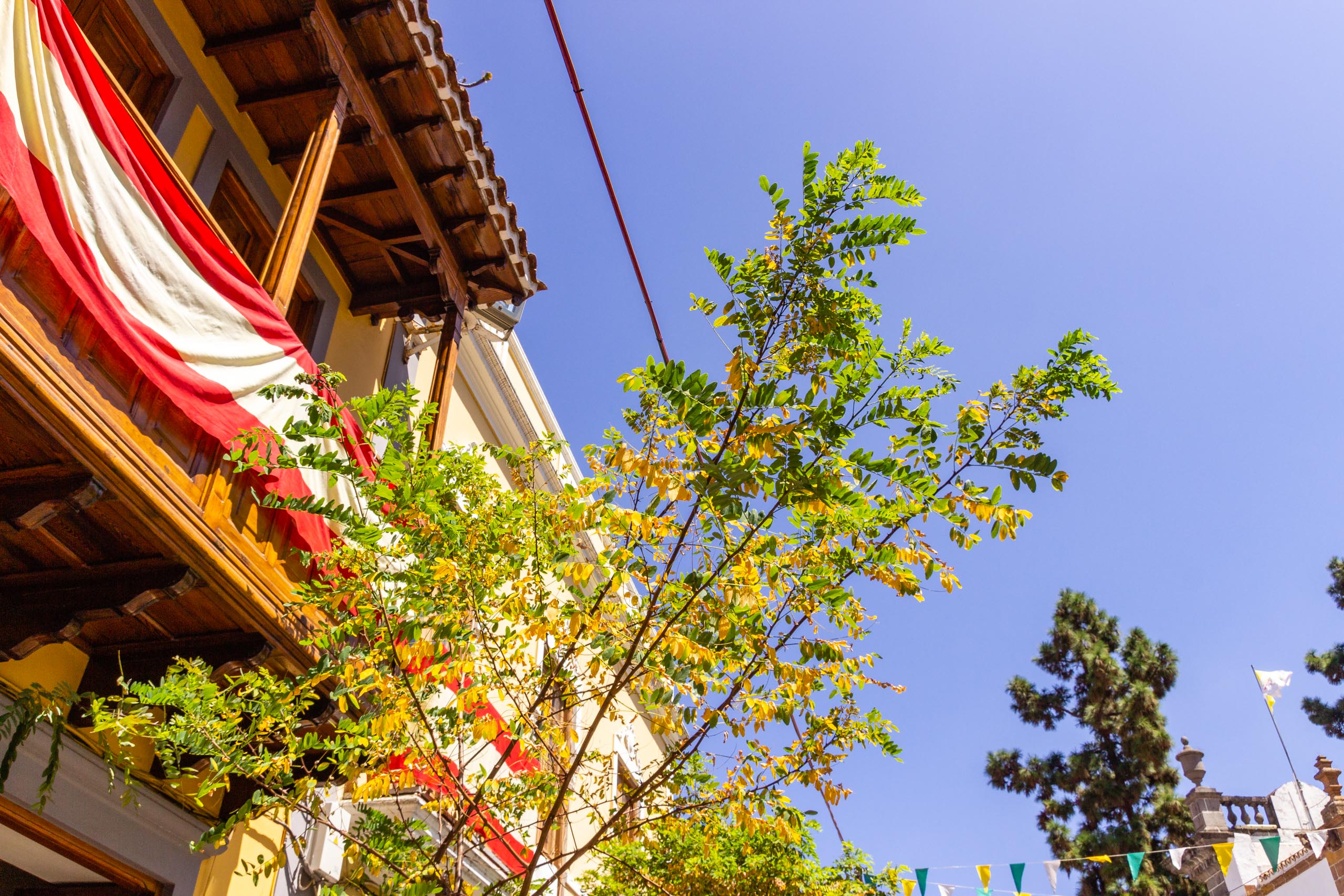 2017 09 GranCanaria Teror 2016