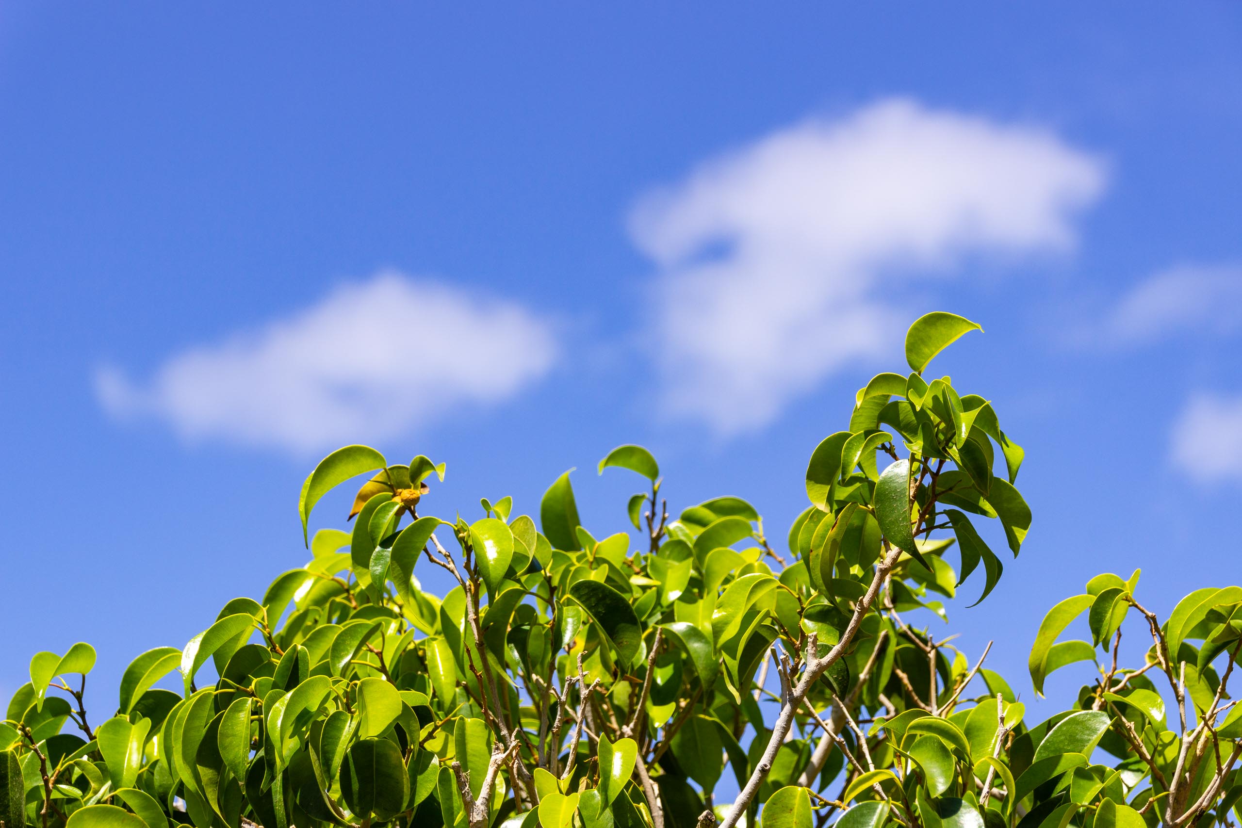 2017 09 GranCanaria La casa 005