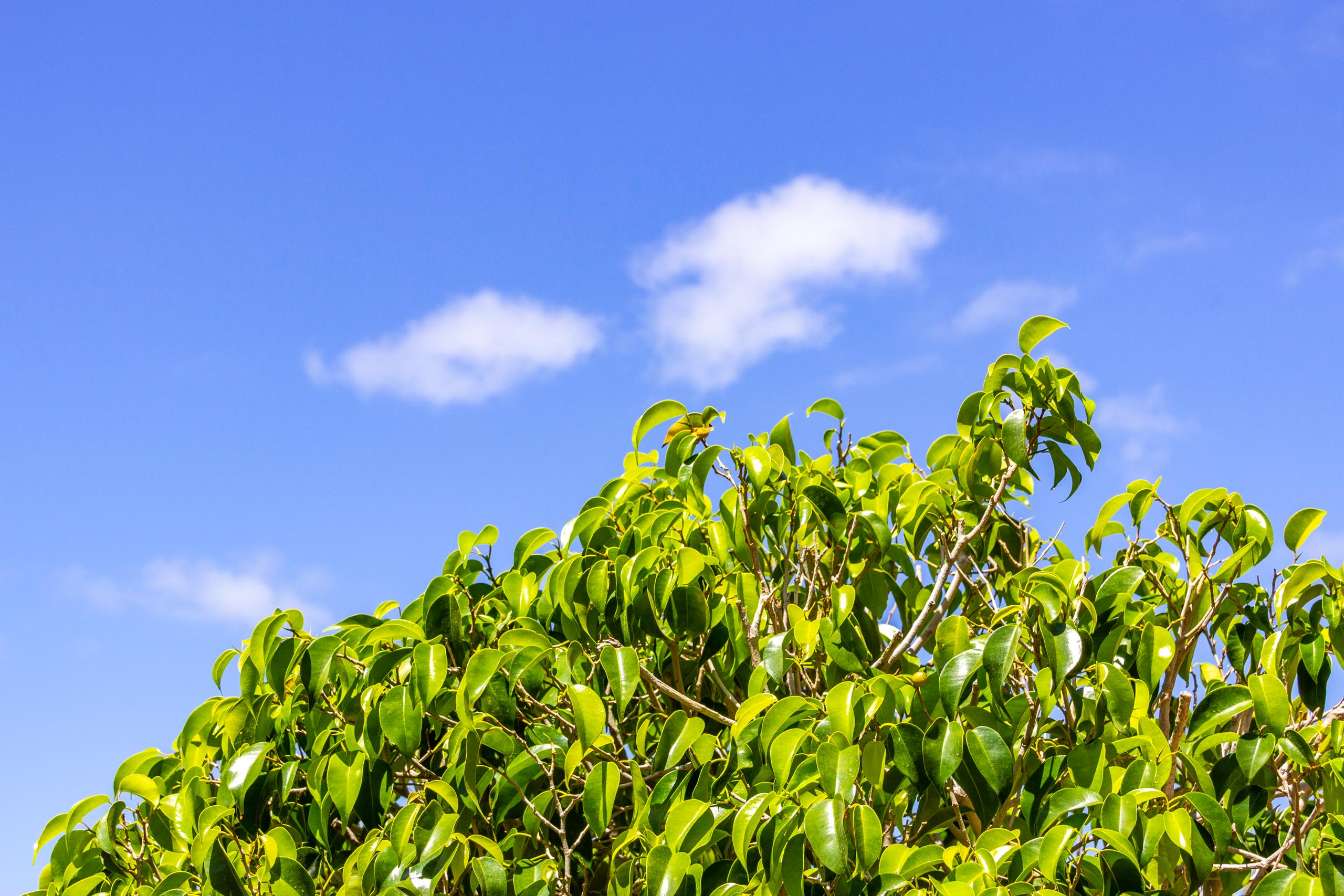 2017 09 GranCanaria La casa 006