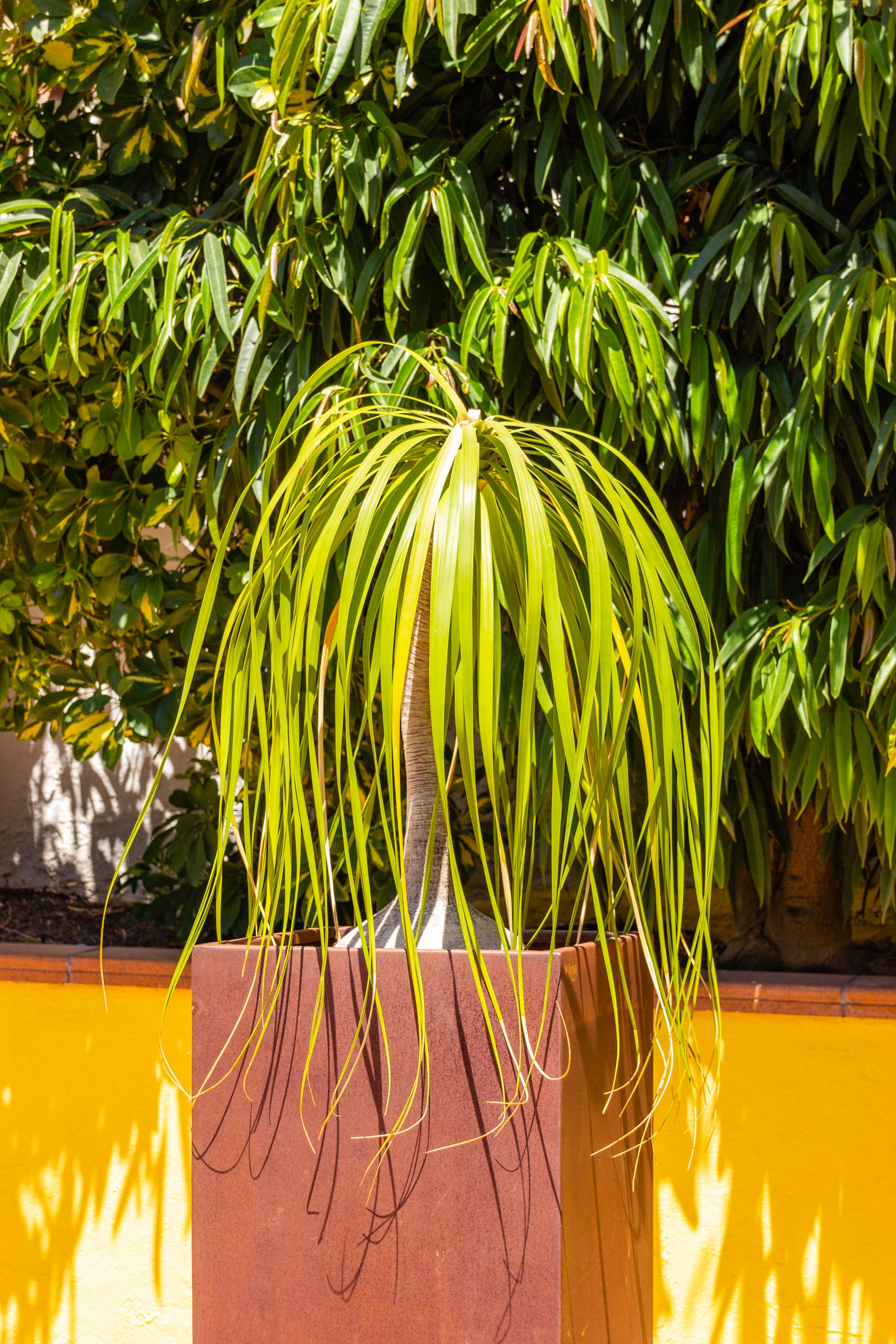 2017 09 GranCanaria La casa 009