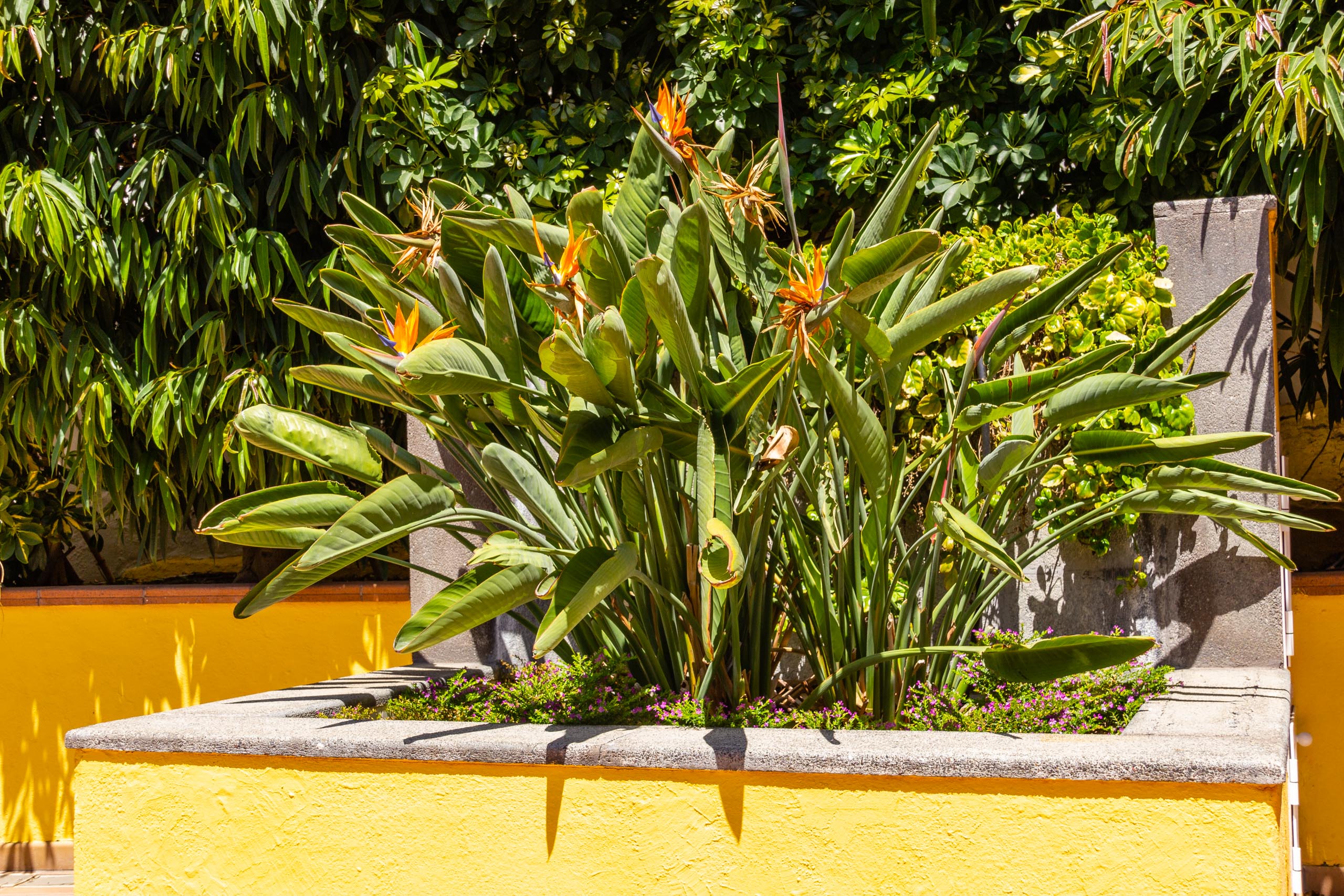 2017 09 GranCanaria La casa 011