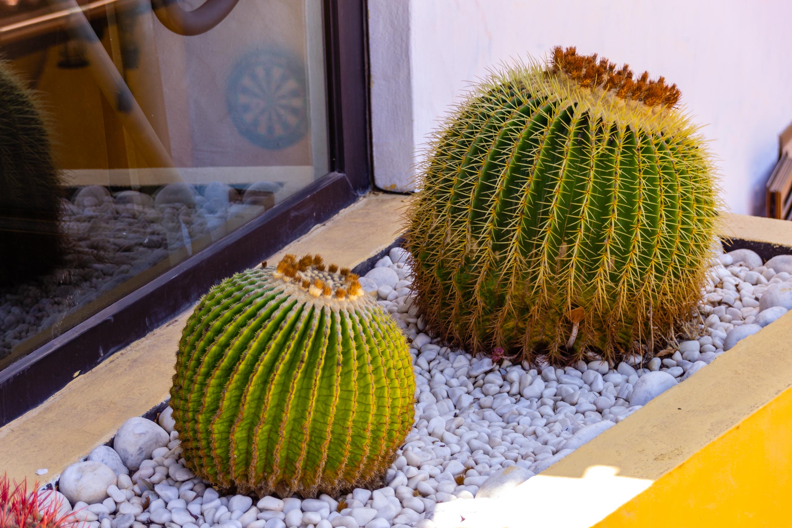 2017 09 GranCanaria La casa 014