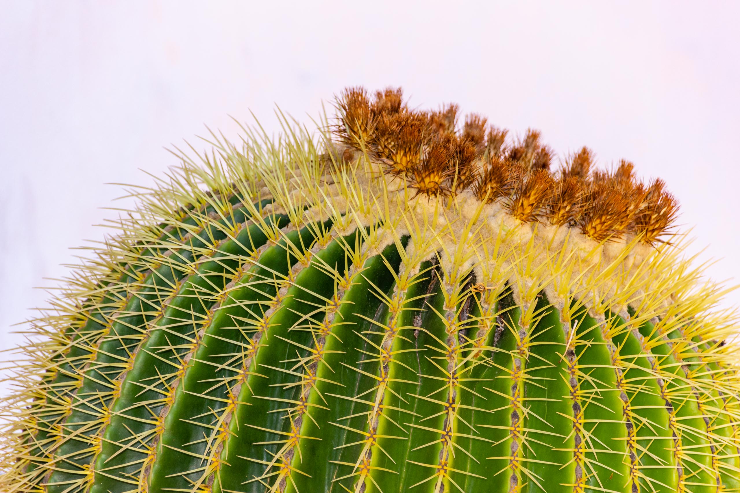 2017 09 GranCanaria La casa 015