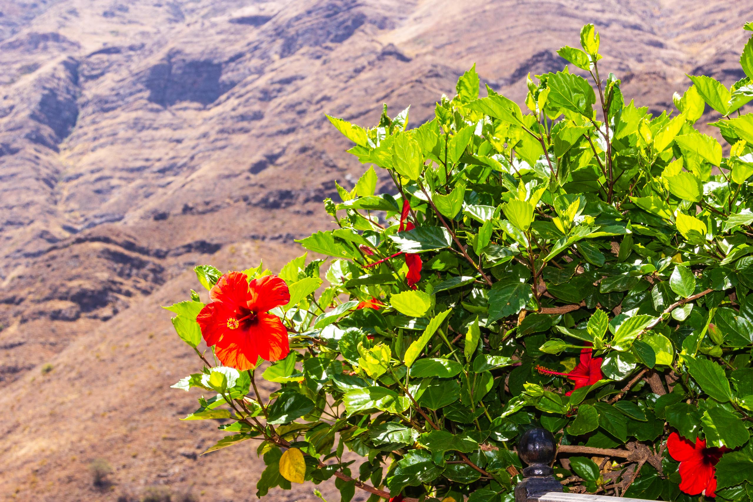 2017 09 GranCanaria La casa 016