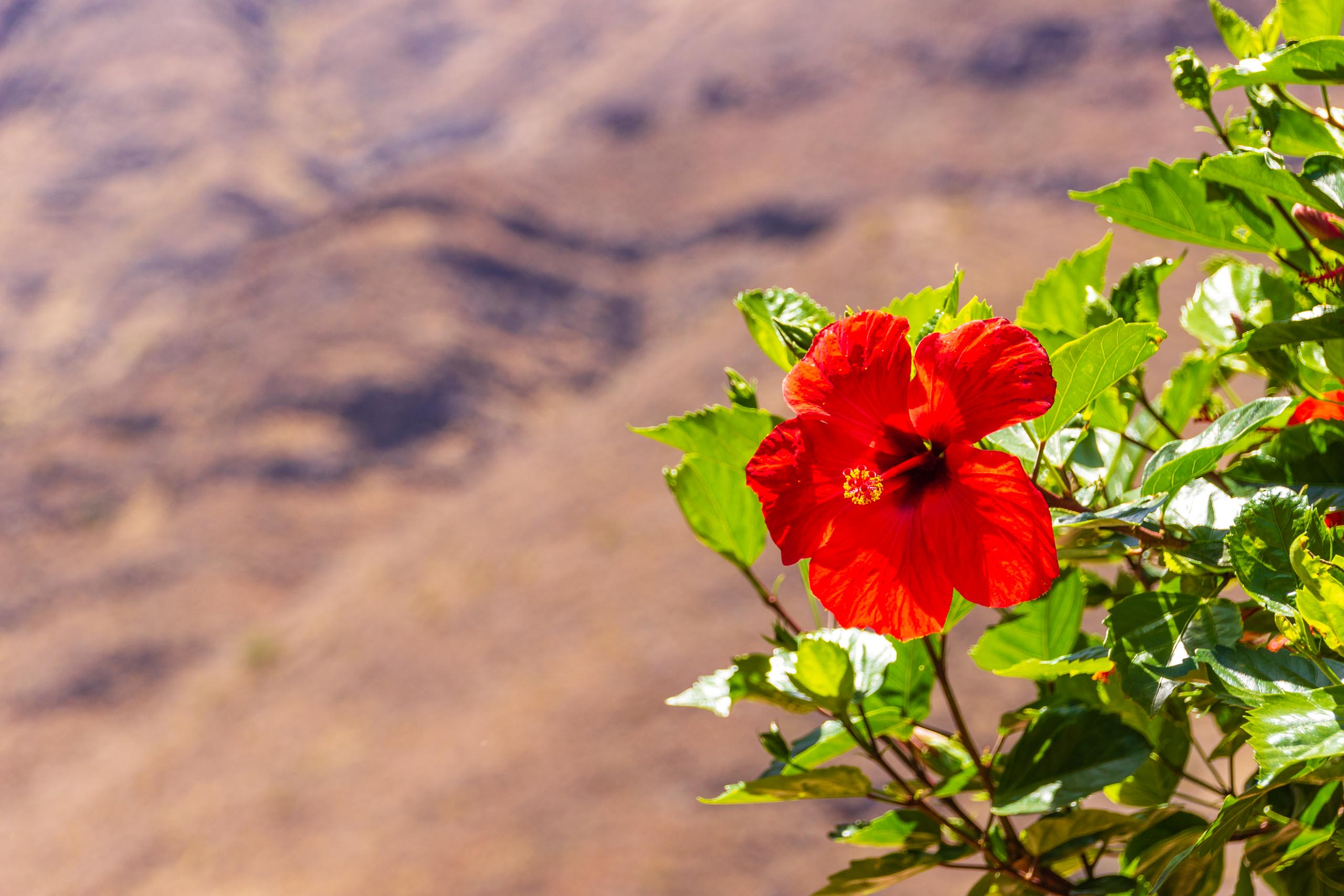 2017 09 GranCanaria La casa 017