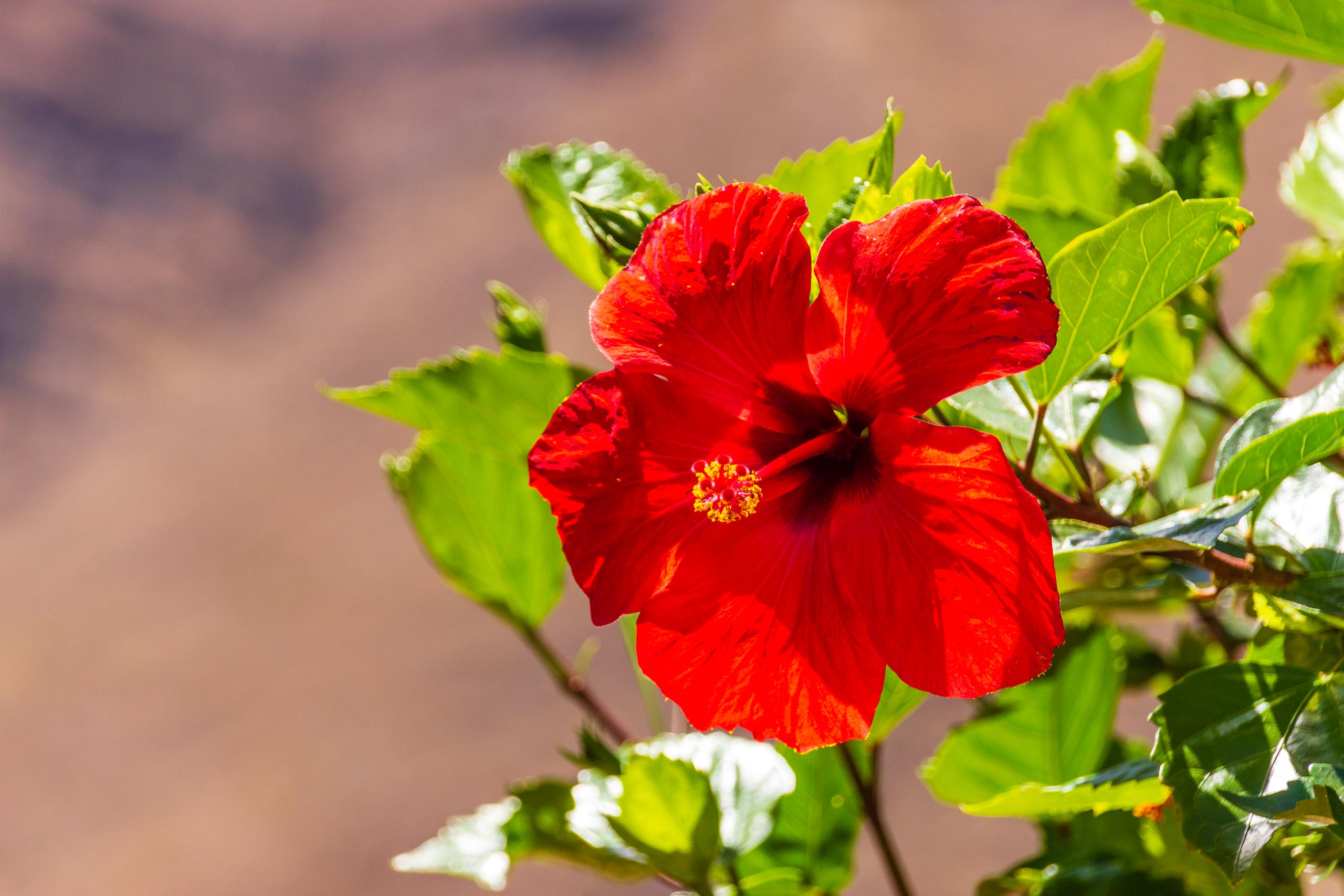 2017 09 GranCanaria La casa 018