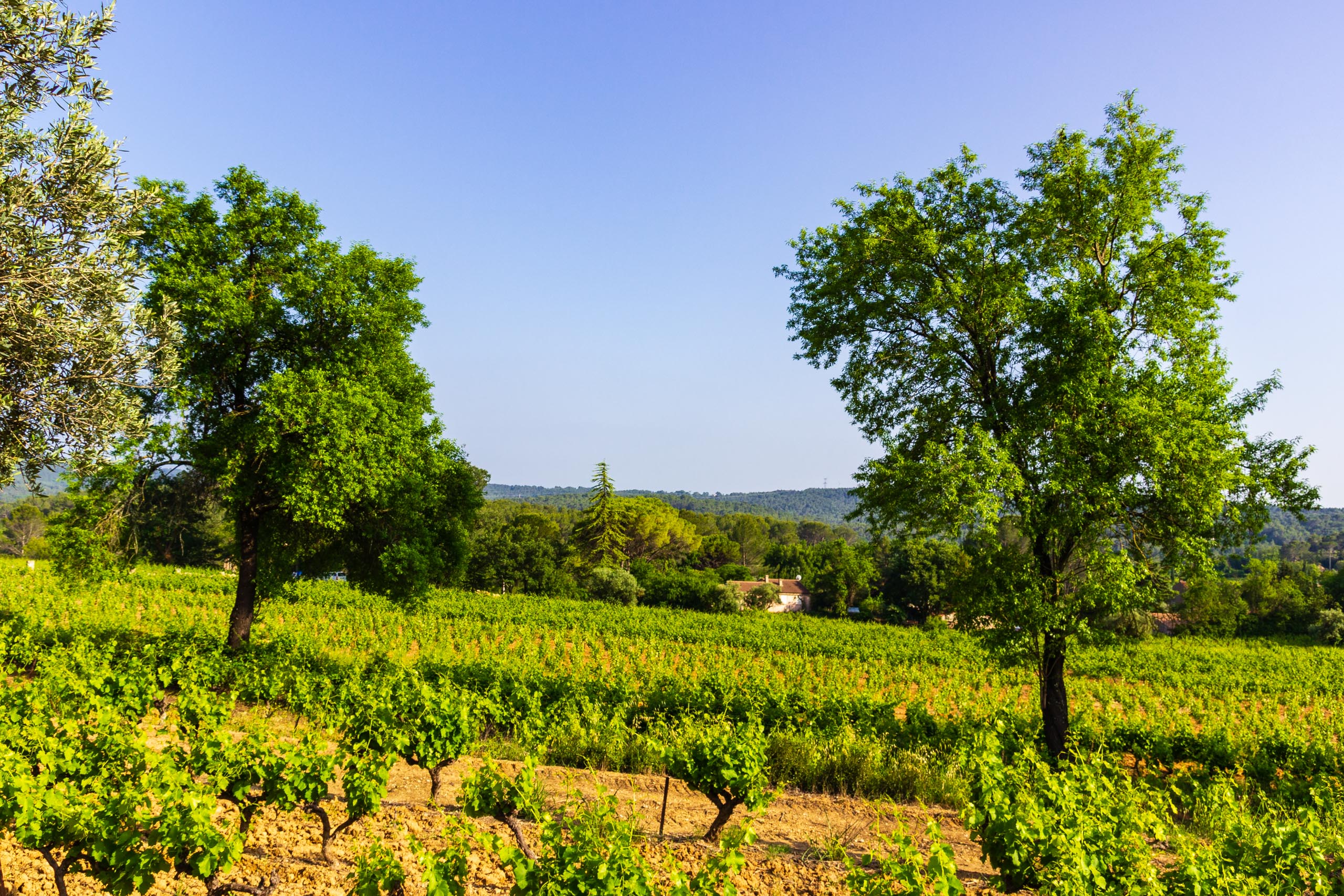 2018 05 Provence LaCouaste 008