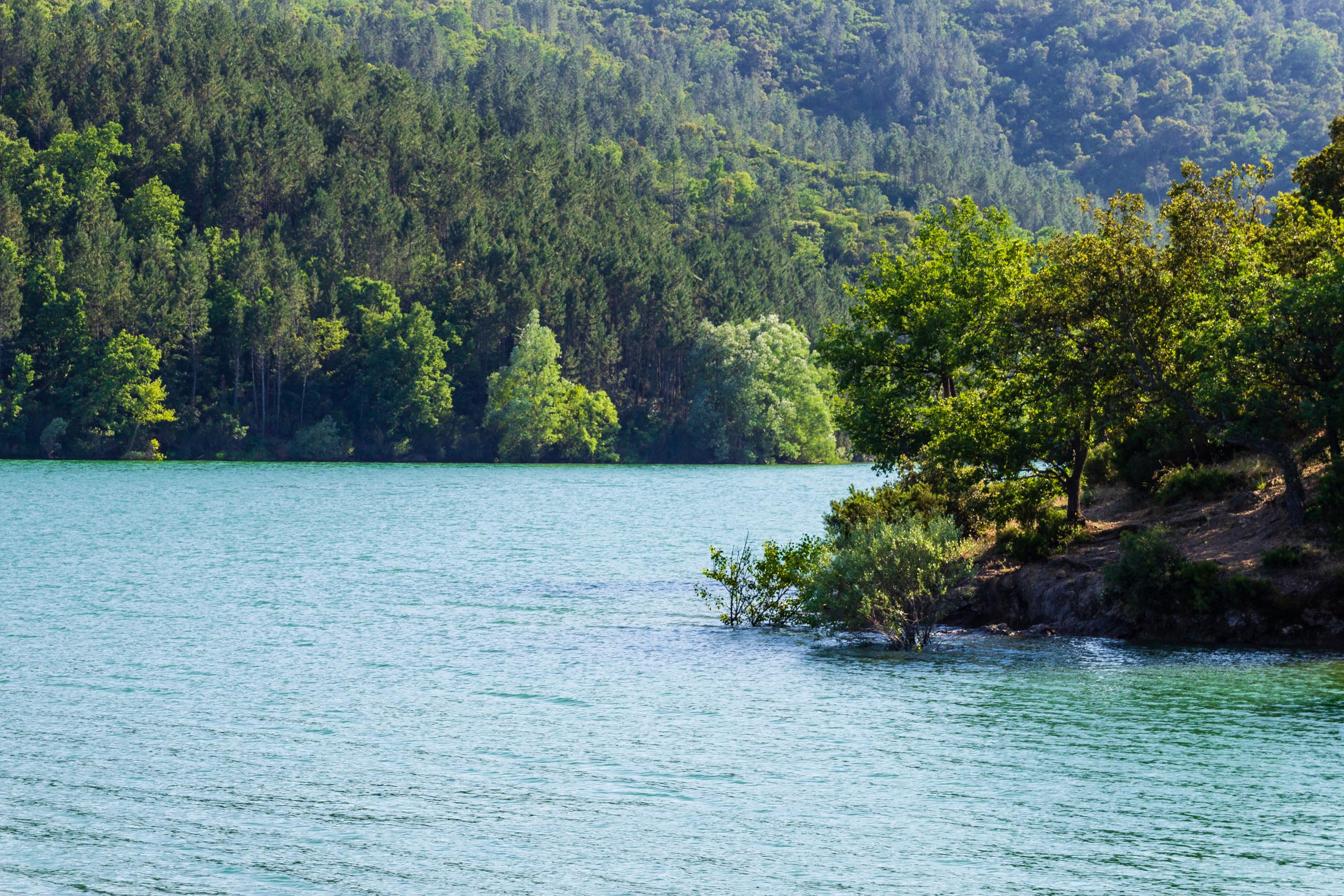 2018 05 Provence LacDeSaint Cassien 004