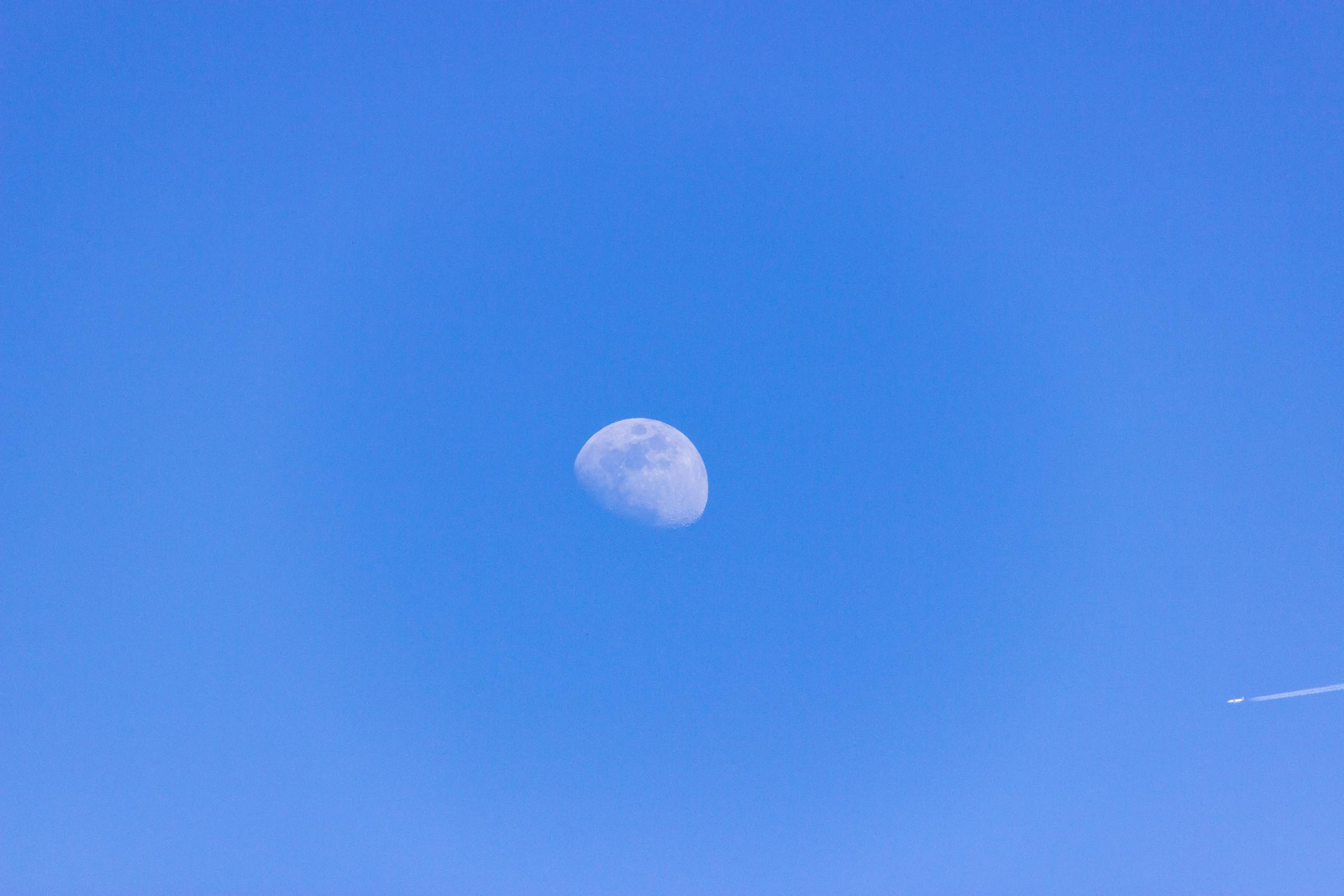 2018 05 Provence LacDeSaint Cassien 007