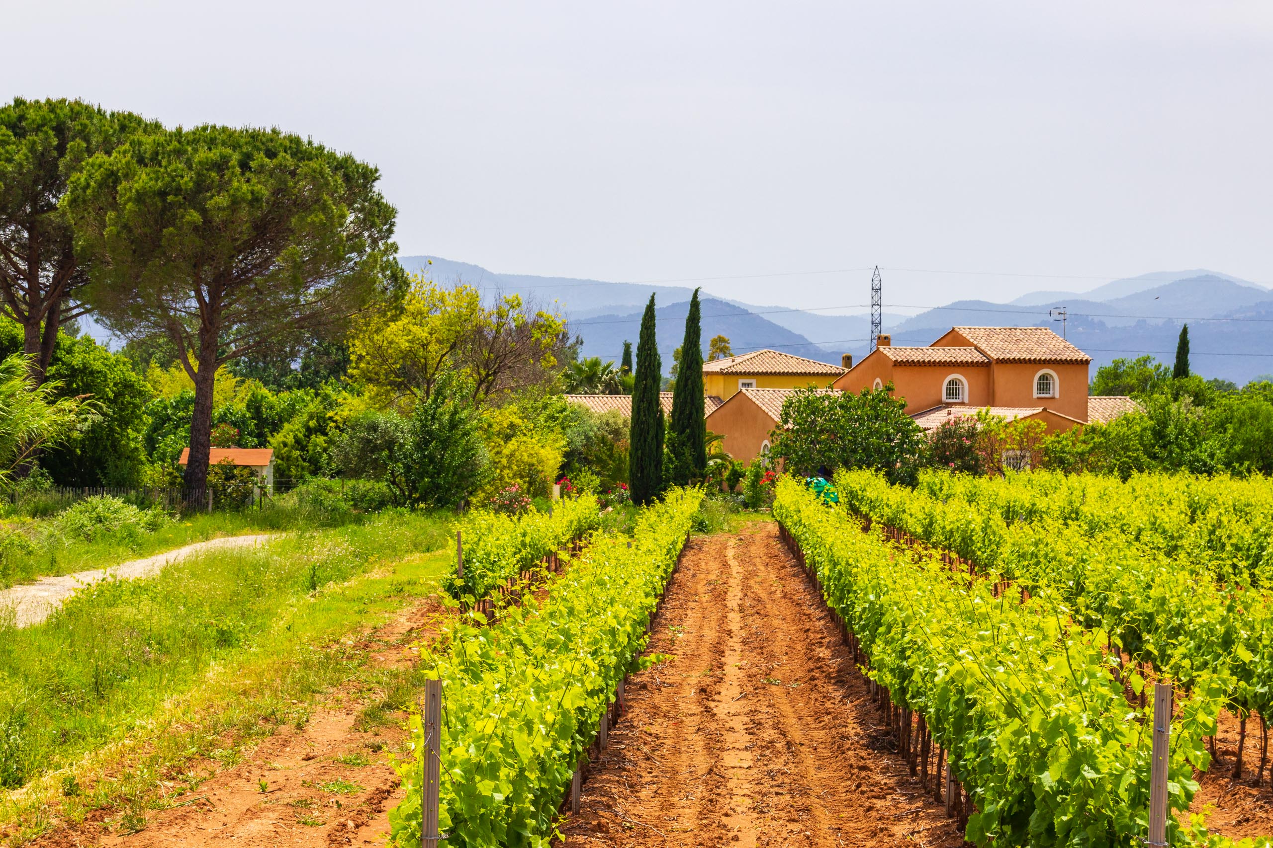 2018 05 Provence LeMitan 005