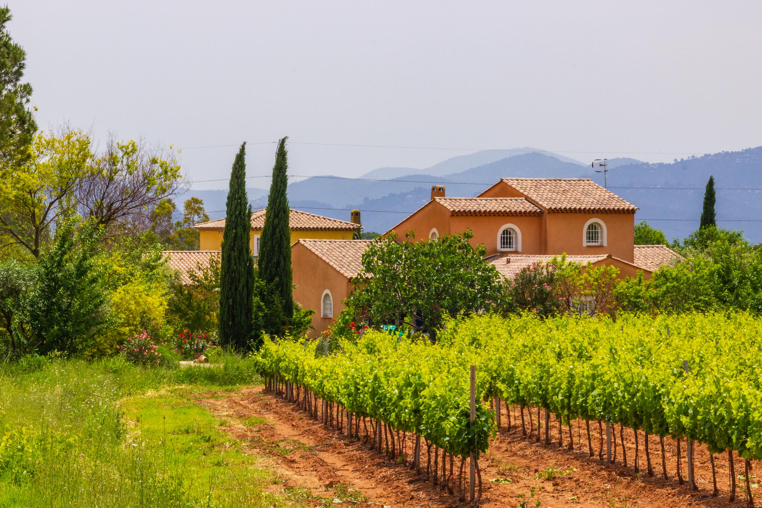 2018 05 Provence LeMitan 006