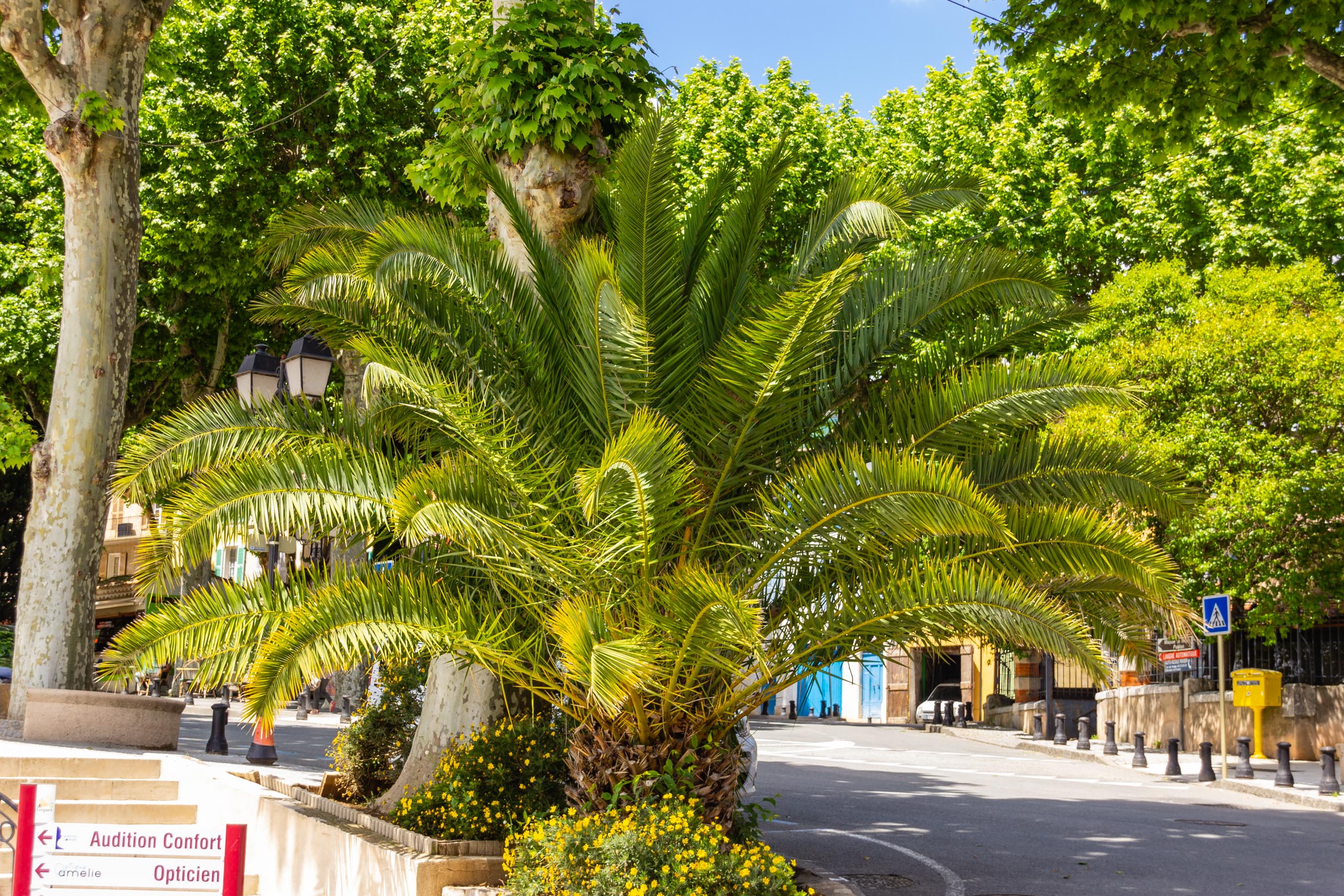 2018 05 Provence Lourgues 010