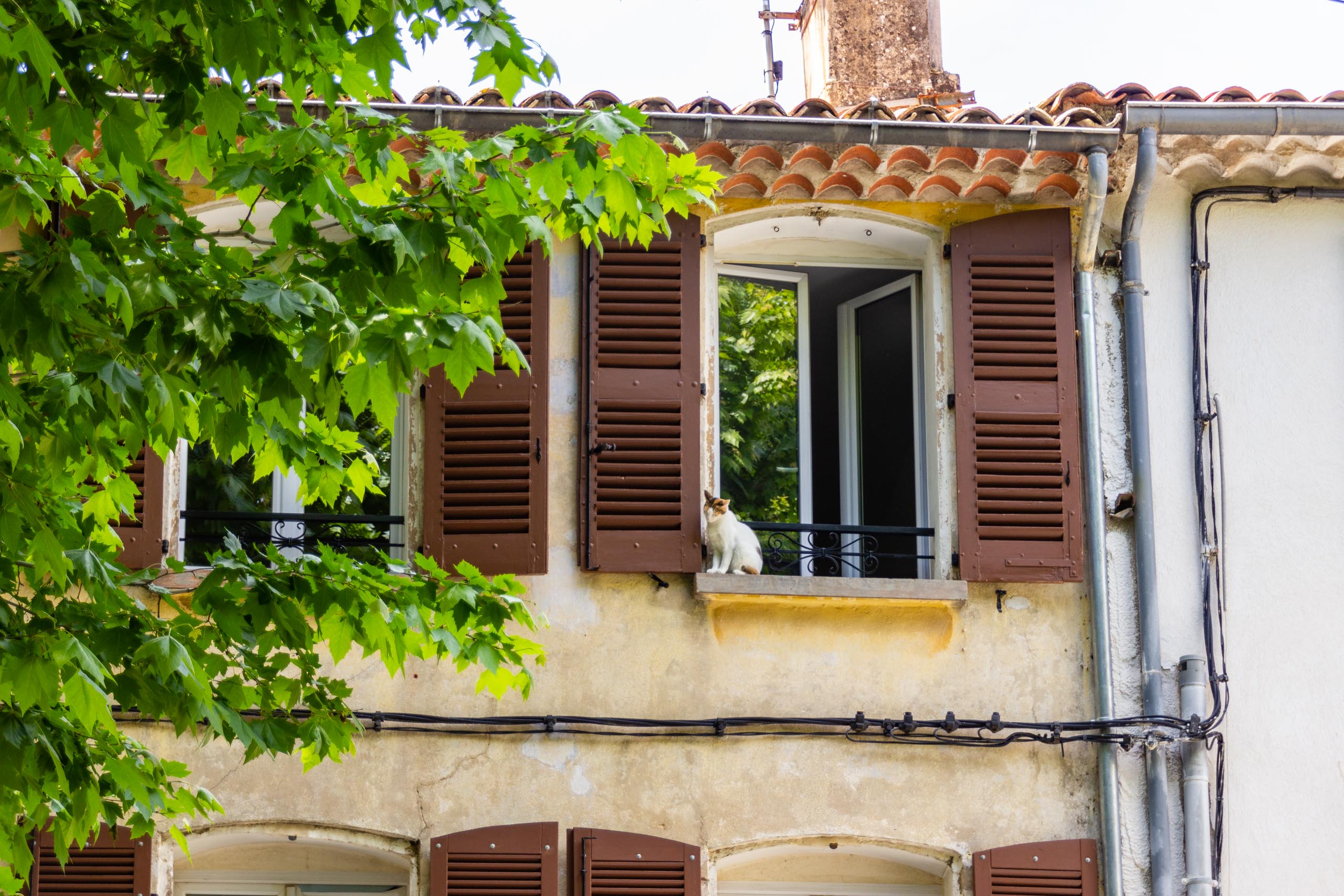 2018 05 Provence Lourgues 014