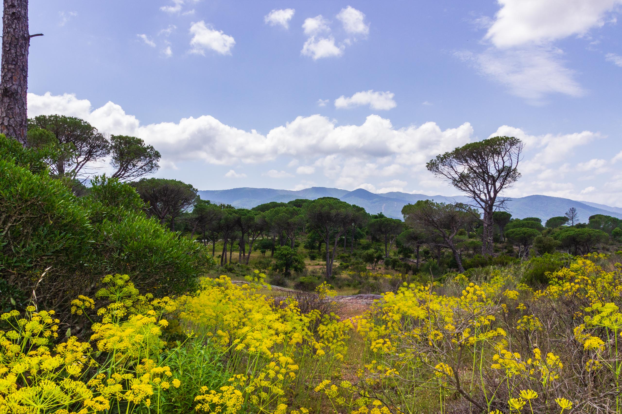 2018 05 Provence OnTheD48NearBayonne 008