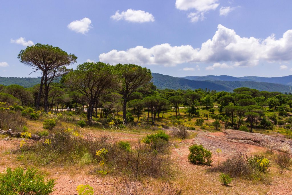 2018 05 Provence OnTheD48NearBayonne 009