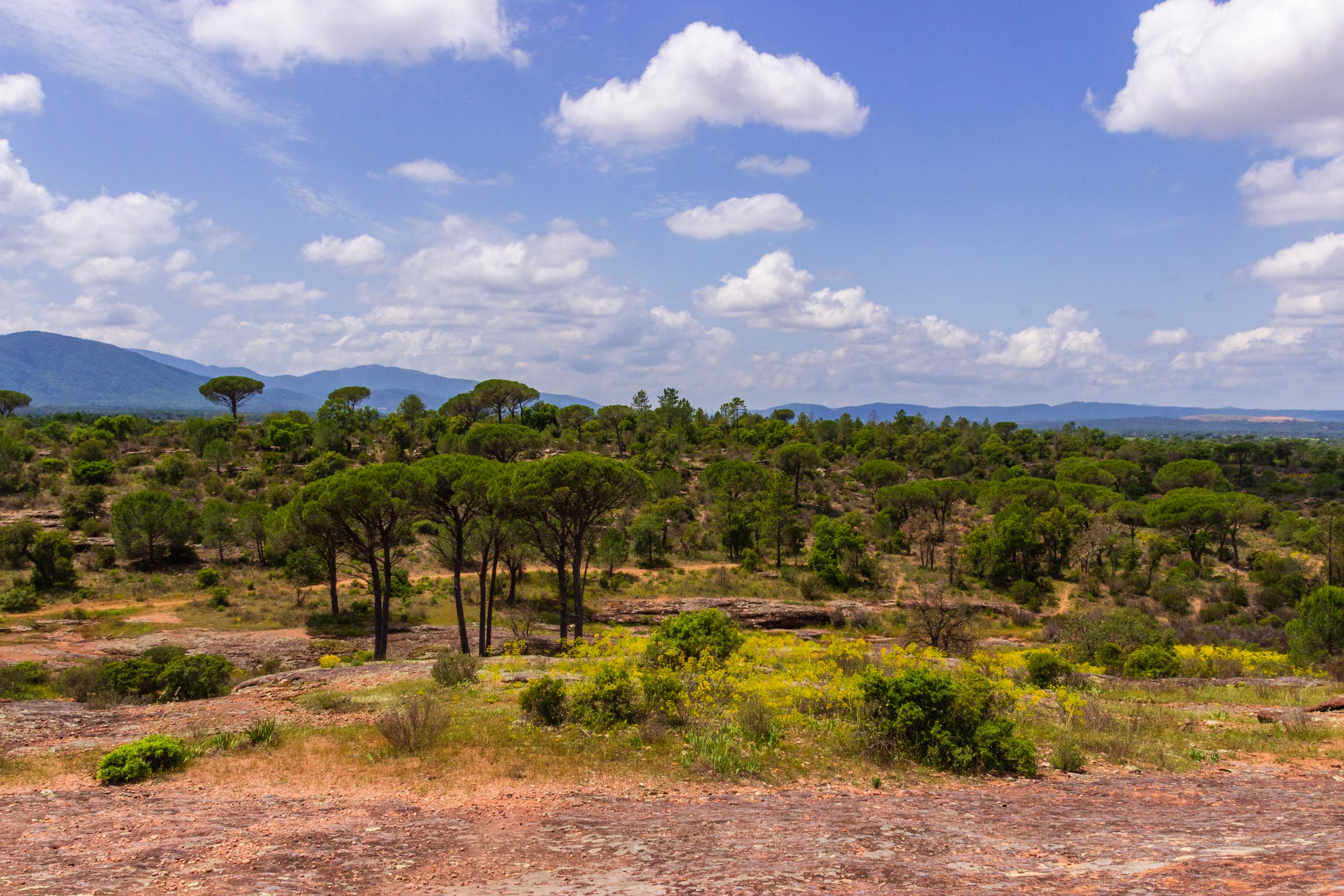 2018 05 Provence OnTheD48NearBayonne 011