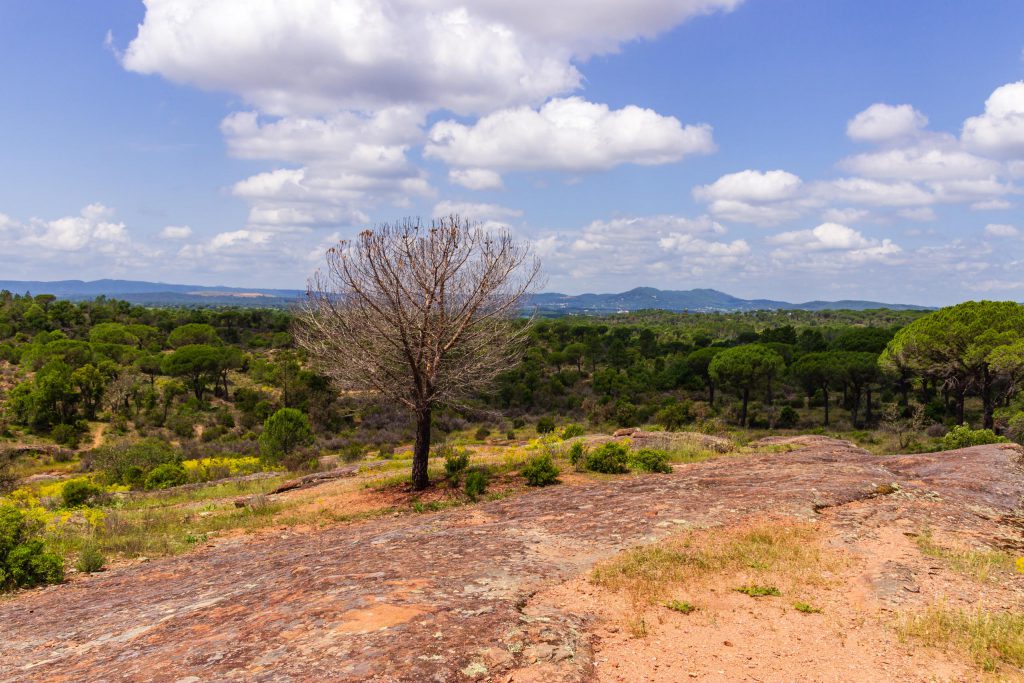 2018 05 Provence OnTheD48NearBayonne 012