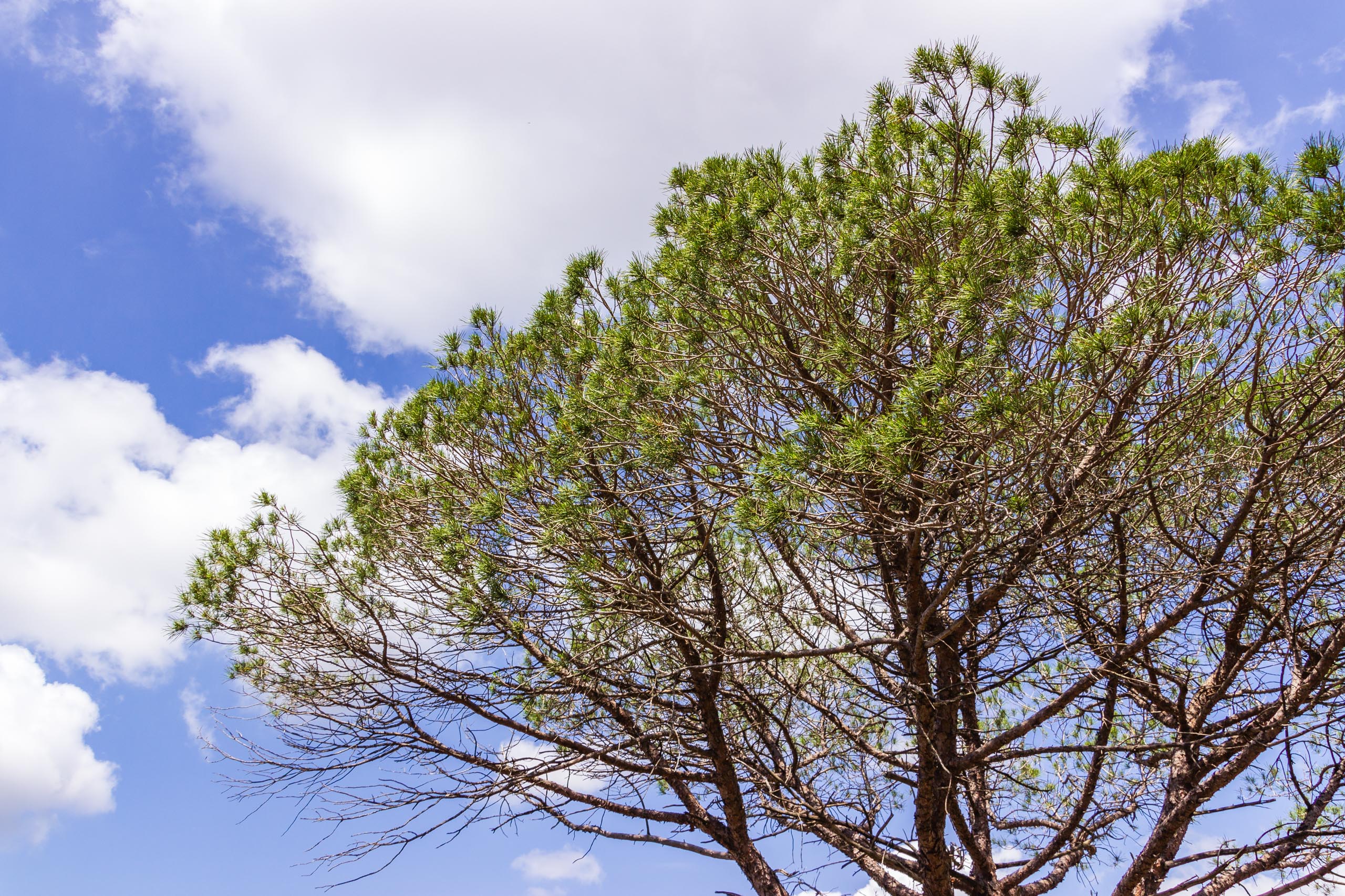 2018 05 Provence OnTheD48NearBayonne 014