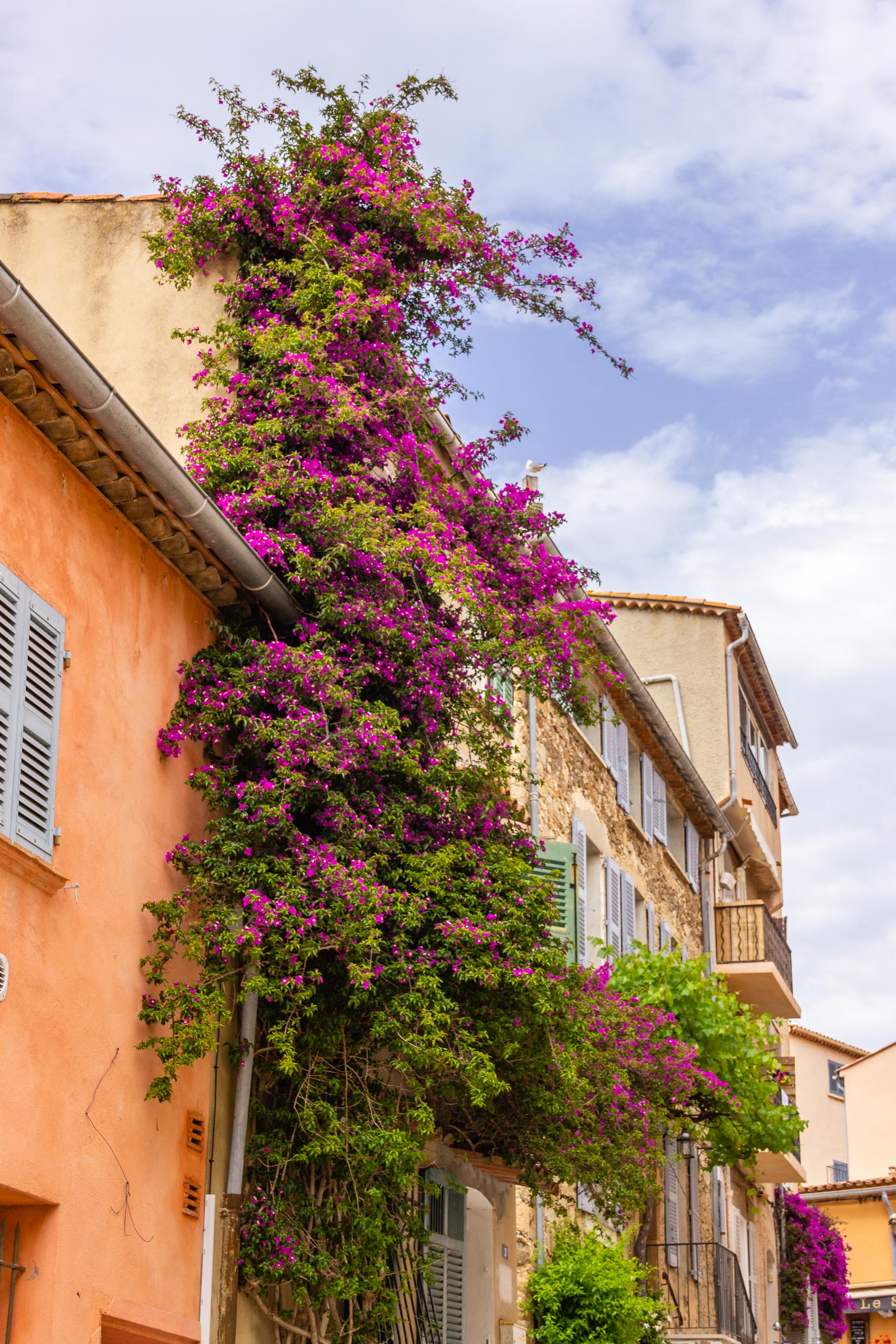 2018 05 Provence Saint Tropez 008