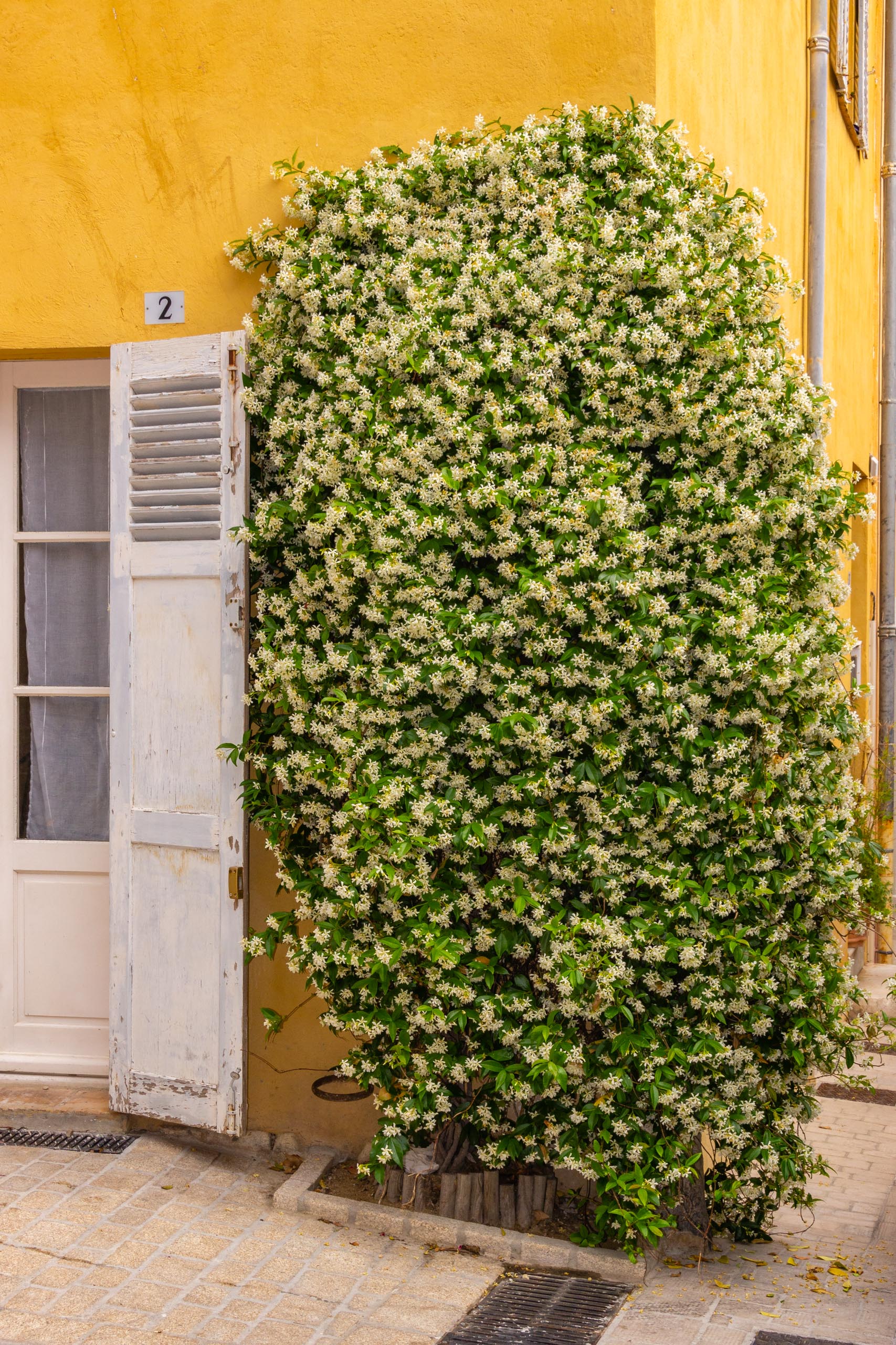 2018 05 Provence Saint Tropez 010