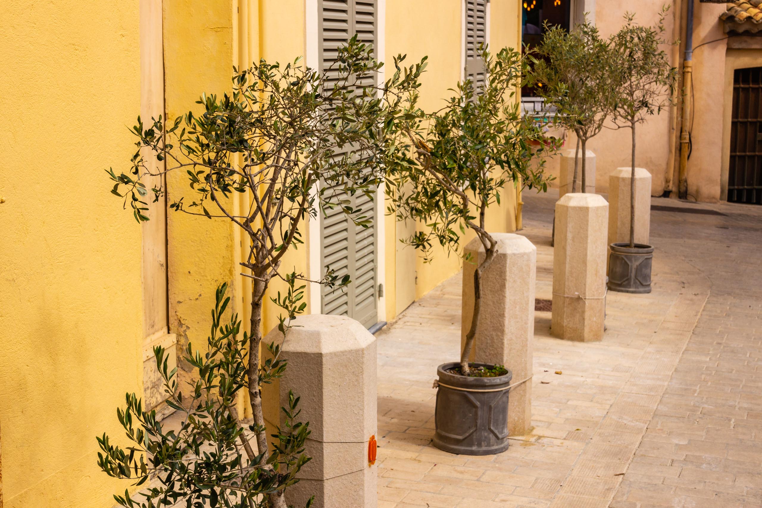 2018 05 Provence Saint Tropez 012