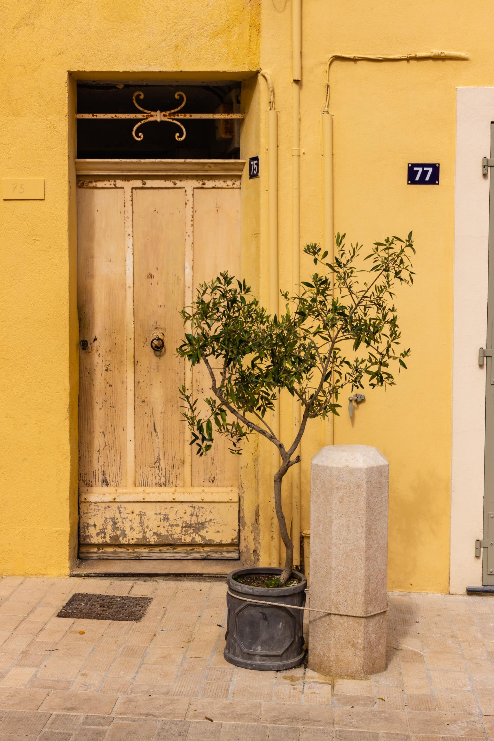 2018 05 Provence Saint Tropez 013