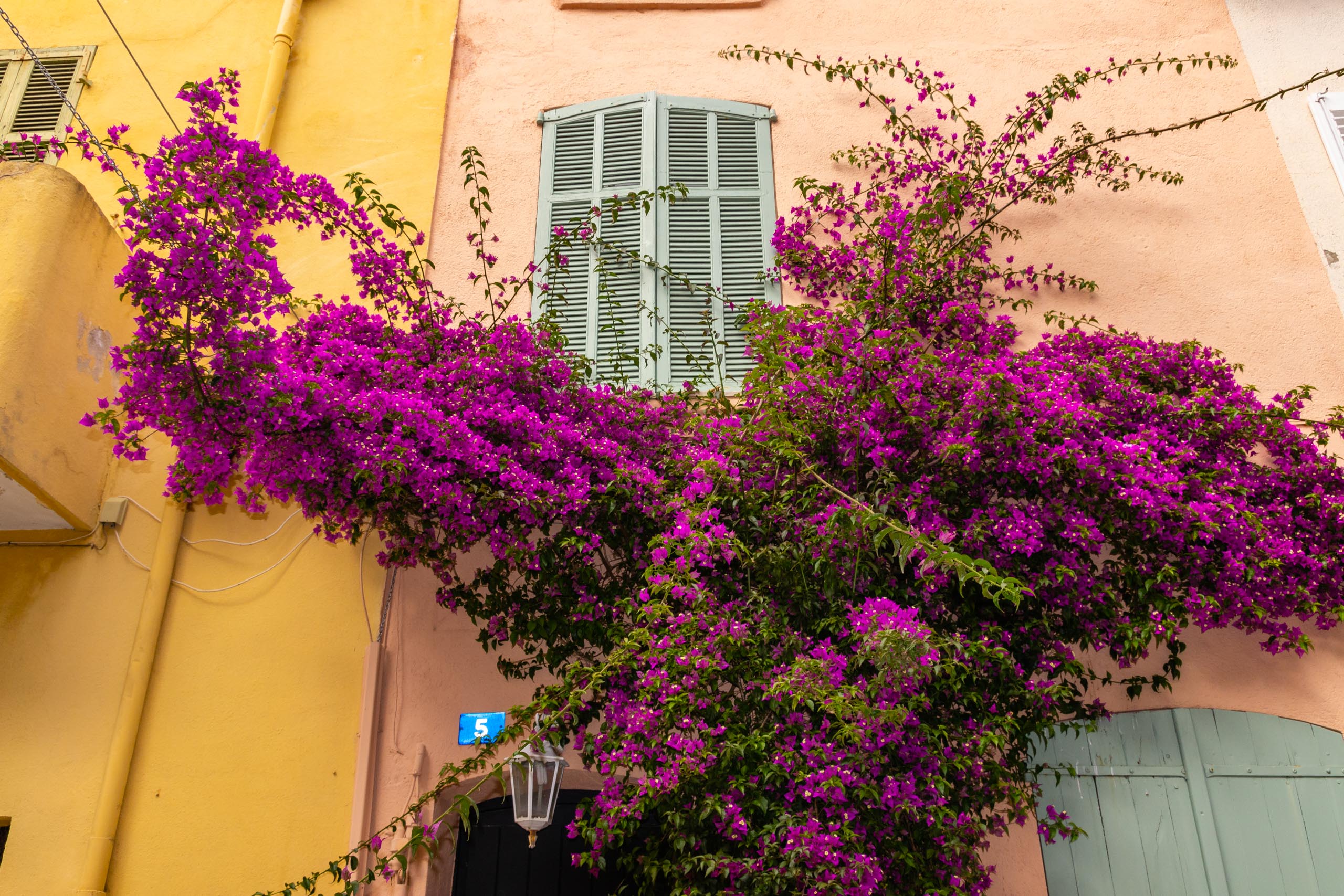 2018 05 Provence Saint Tropez 019