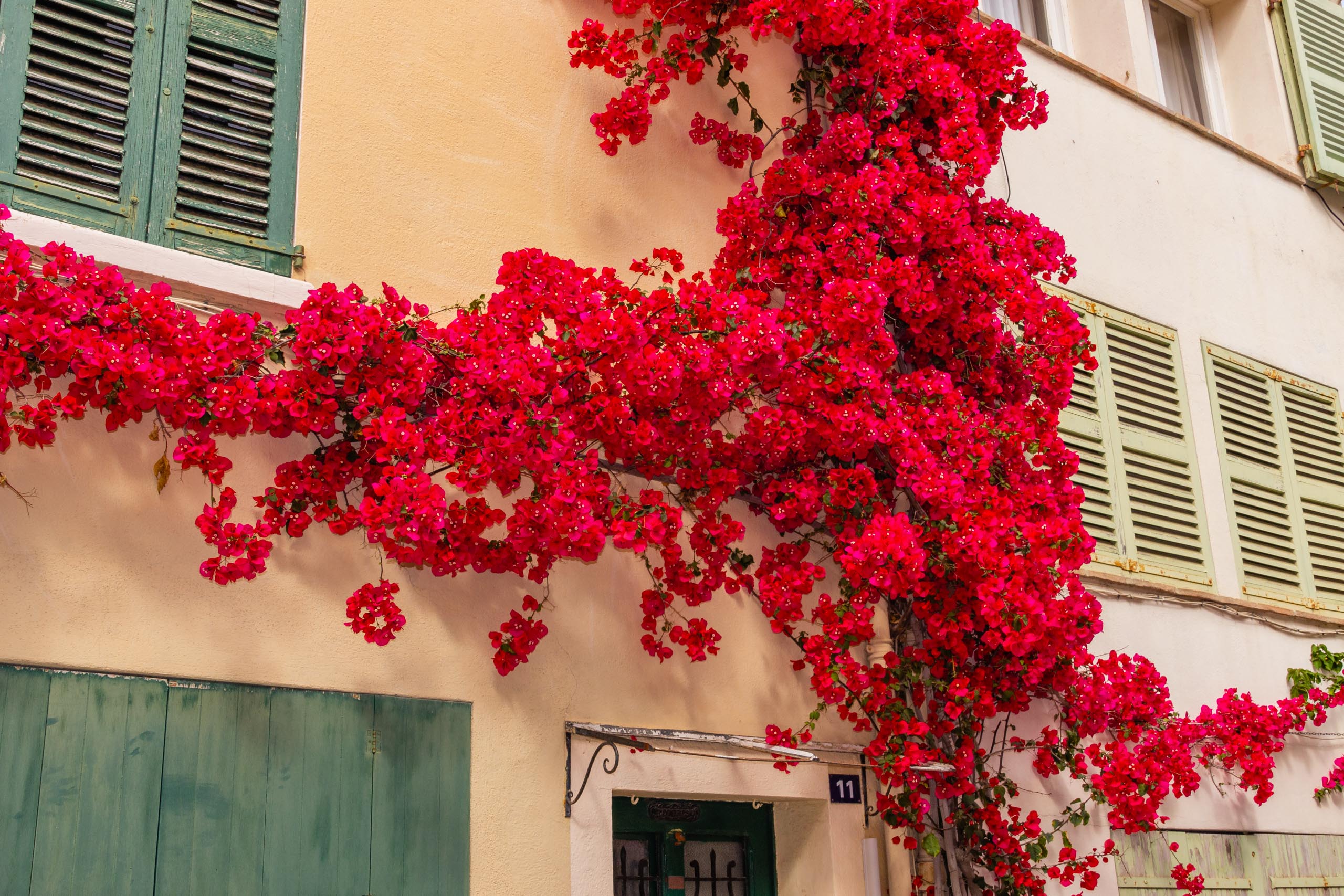 2018 05 Provence Saint Tropez 020