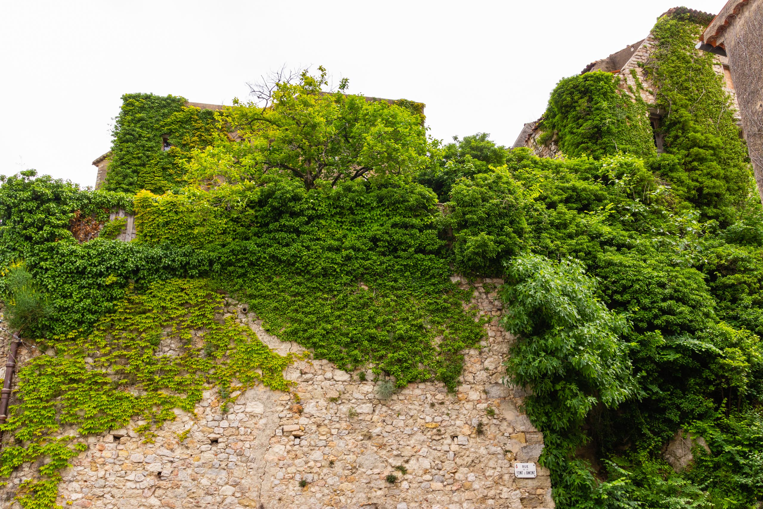 2018 05 Provence Seillans 003