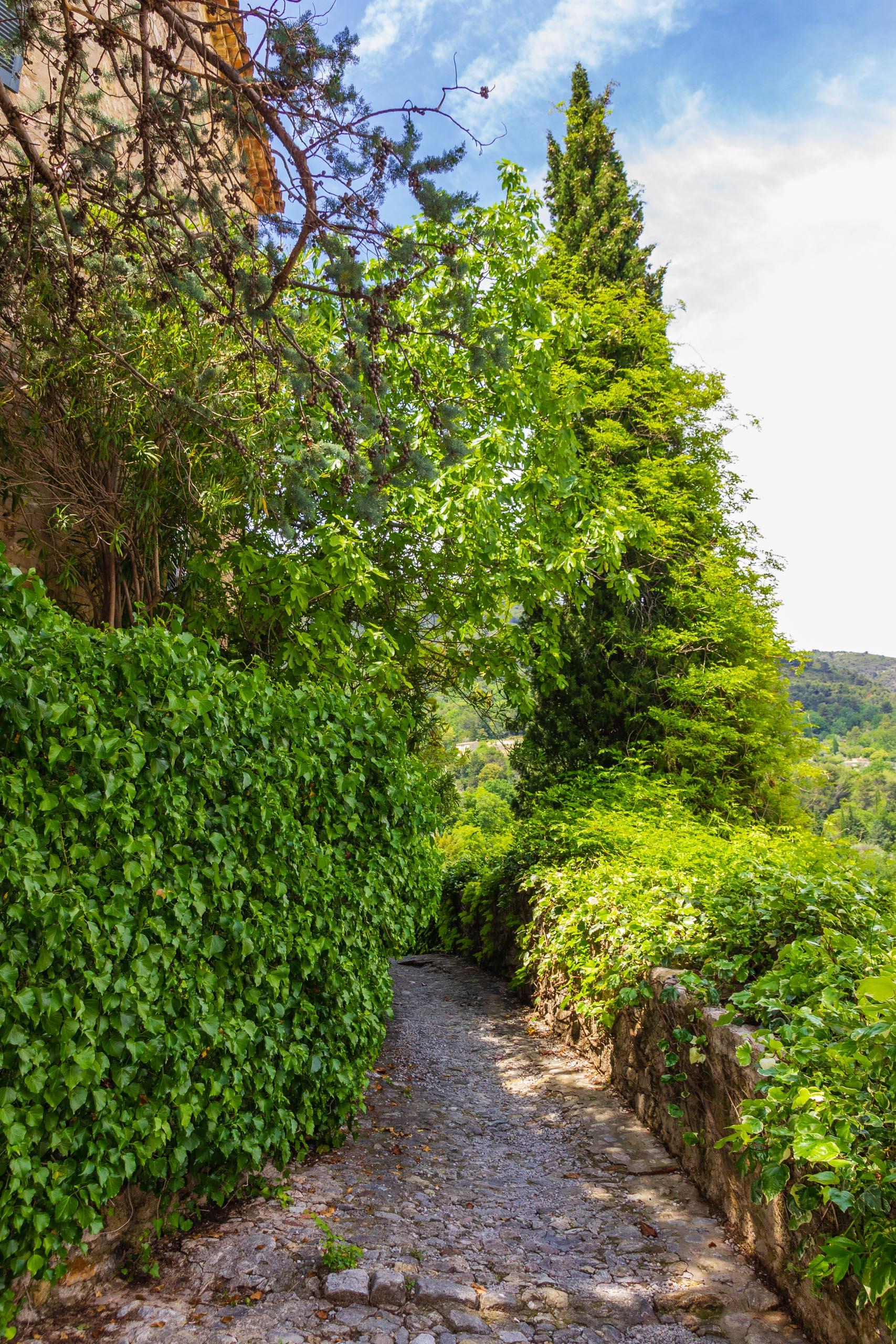 2018 05 Provence Seillans 012