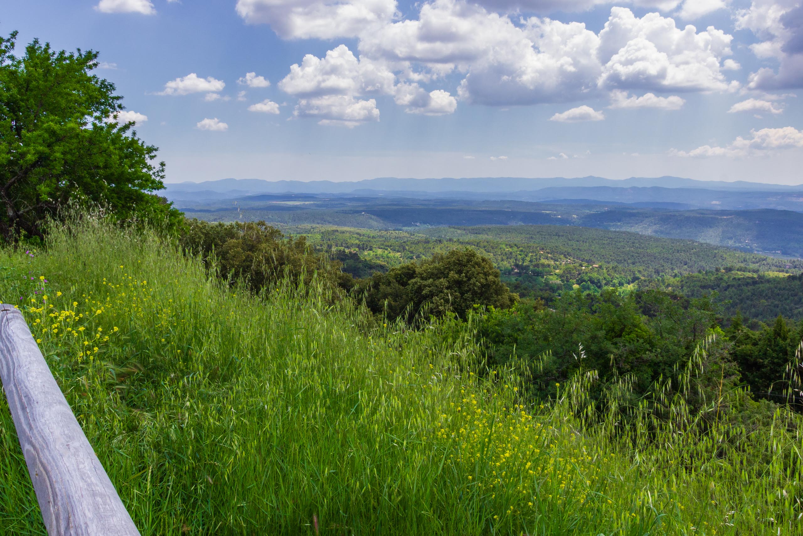 2018 05 Provence Tourtour 003