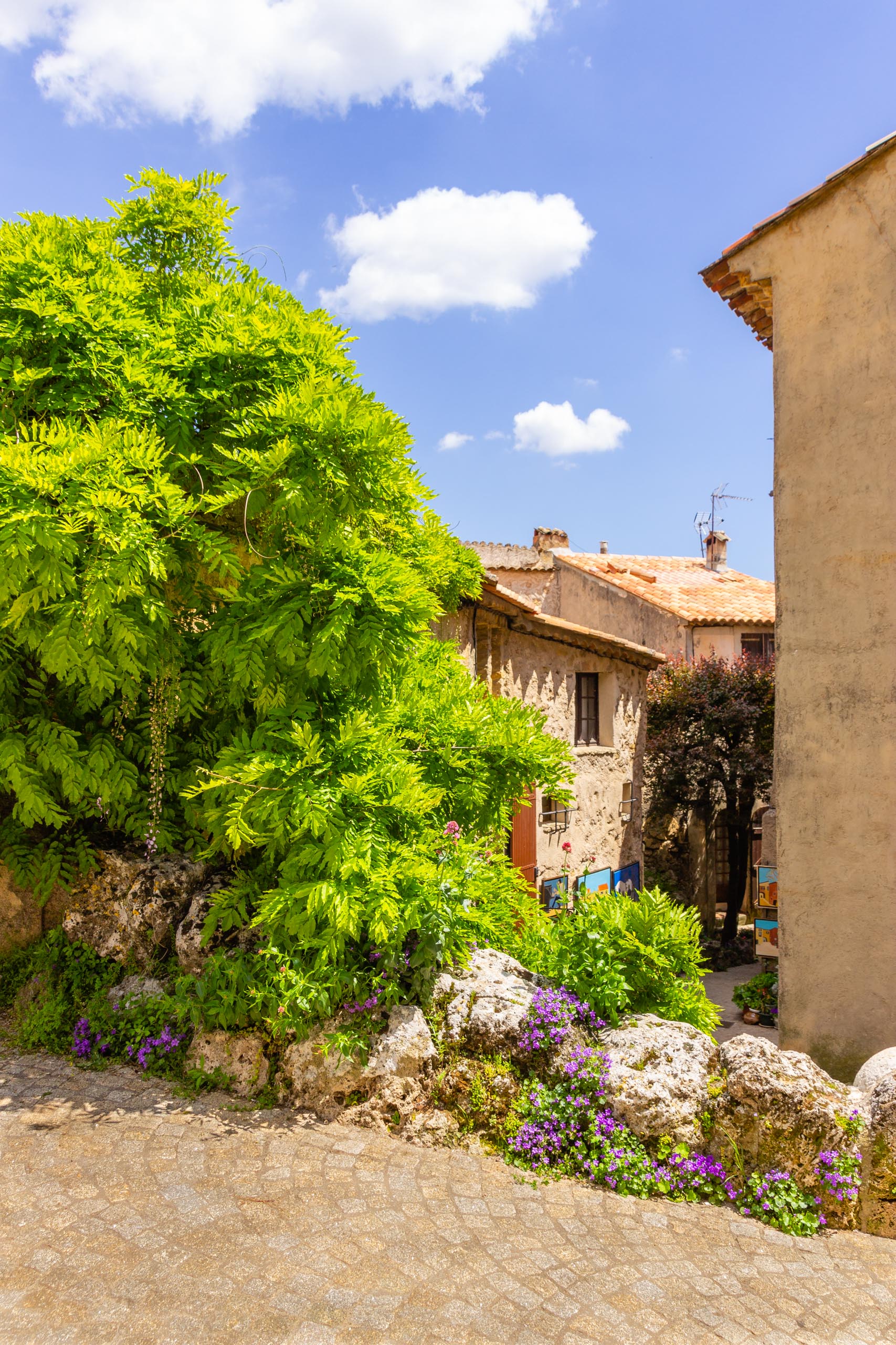 2018 05 Provence Tourtour 012