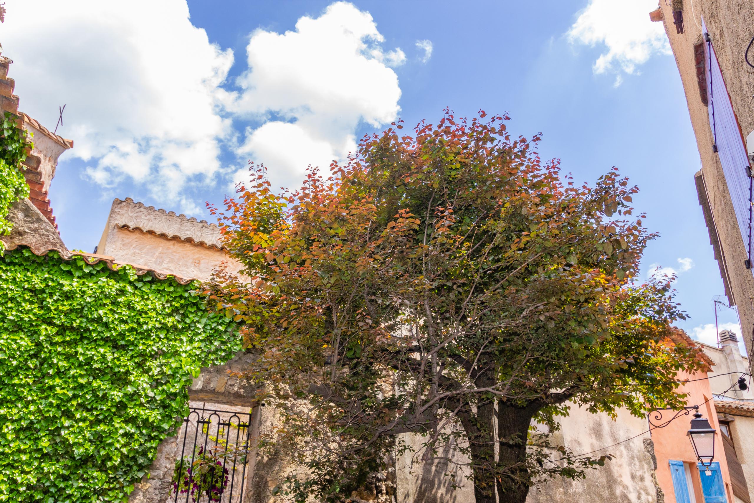 2018 05 Provence Tourtour 013