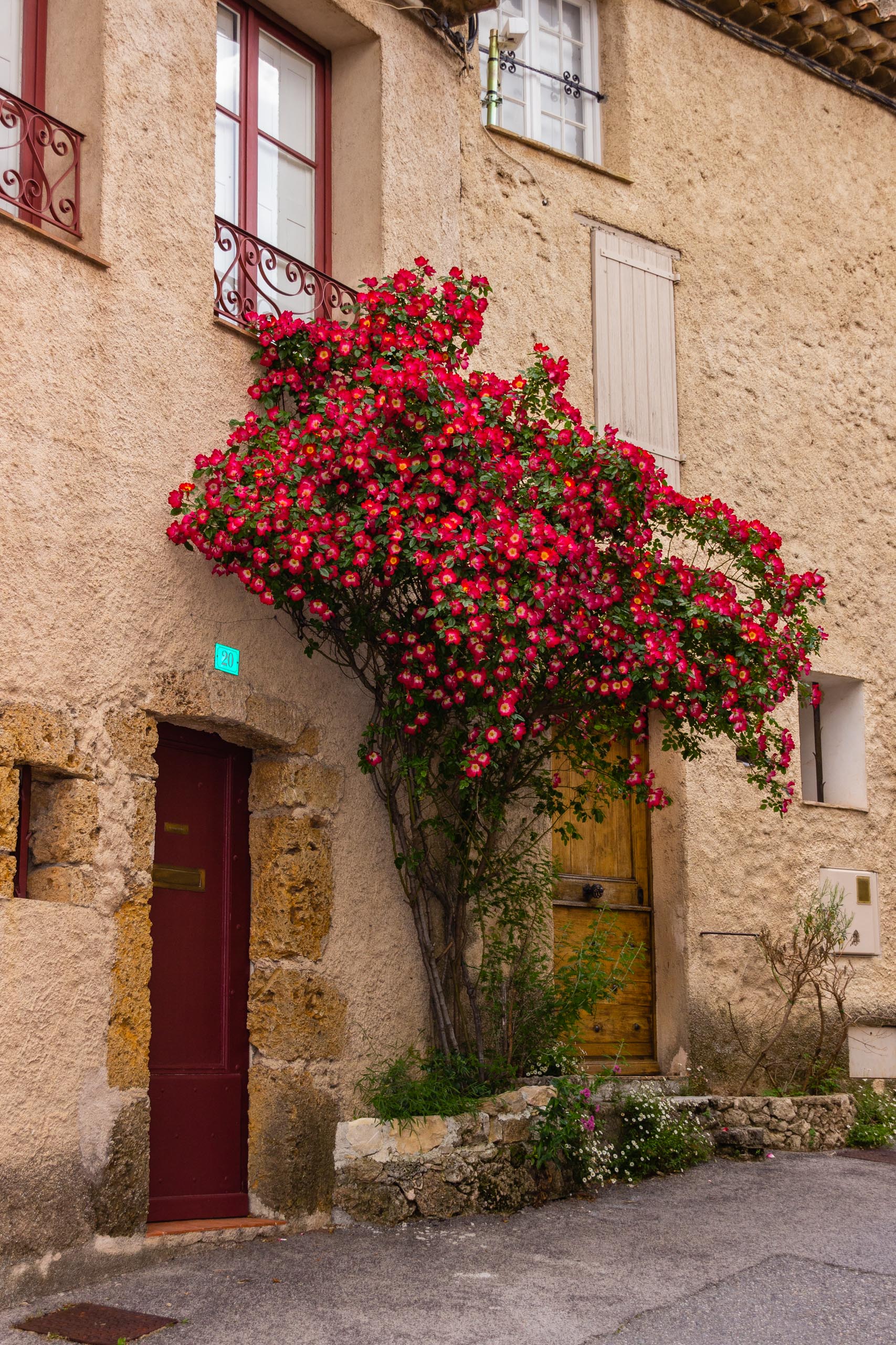 2018 05 Provence Tourtour 014