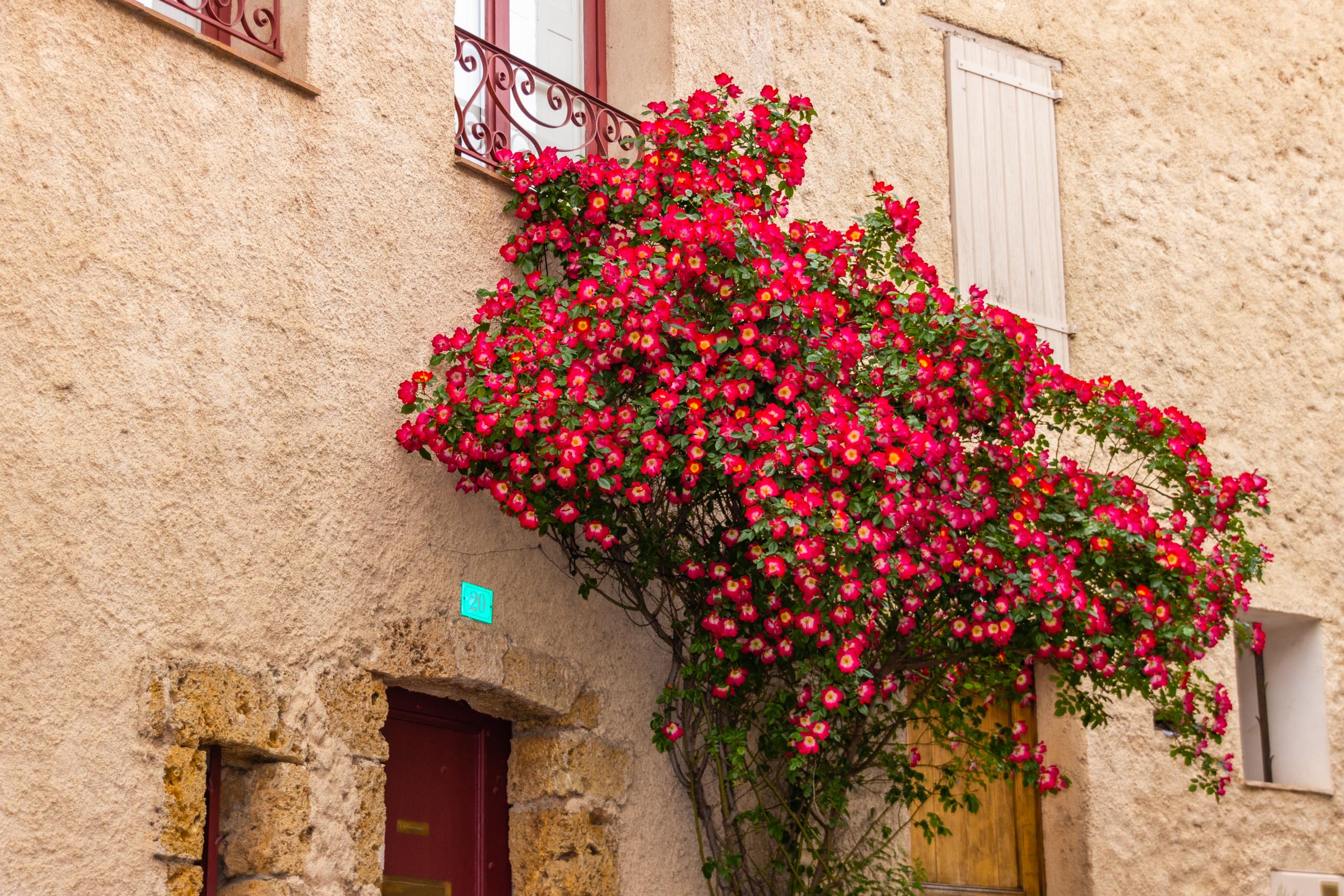 2018 05 Provence Tourtour 015