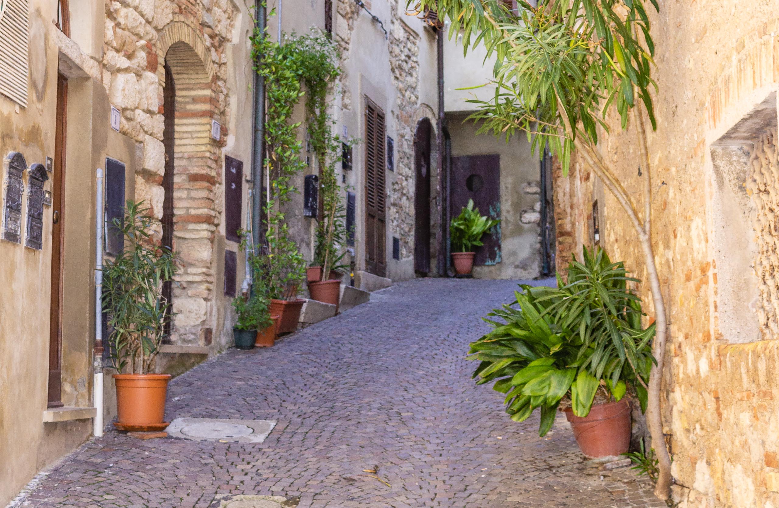 2013 10 Toskana Bibbona 005