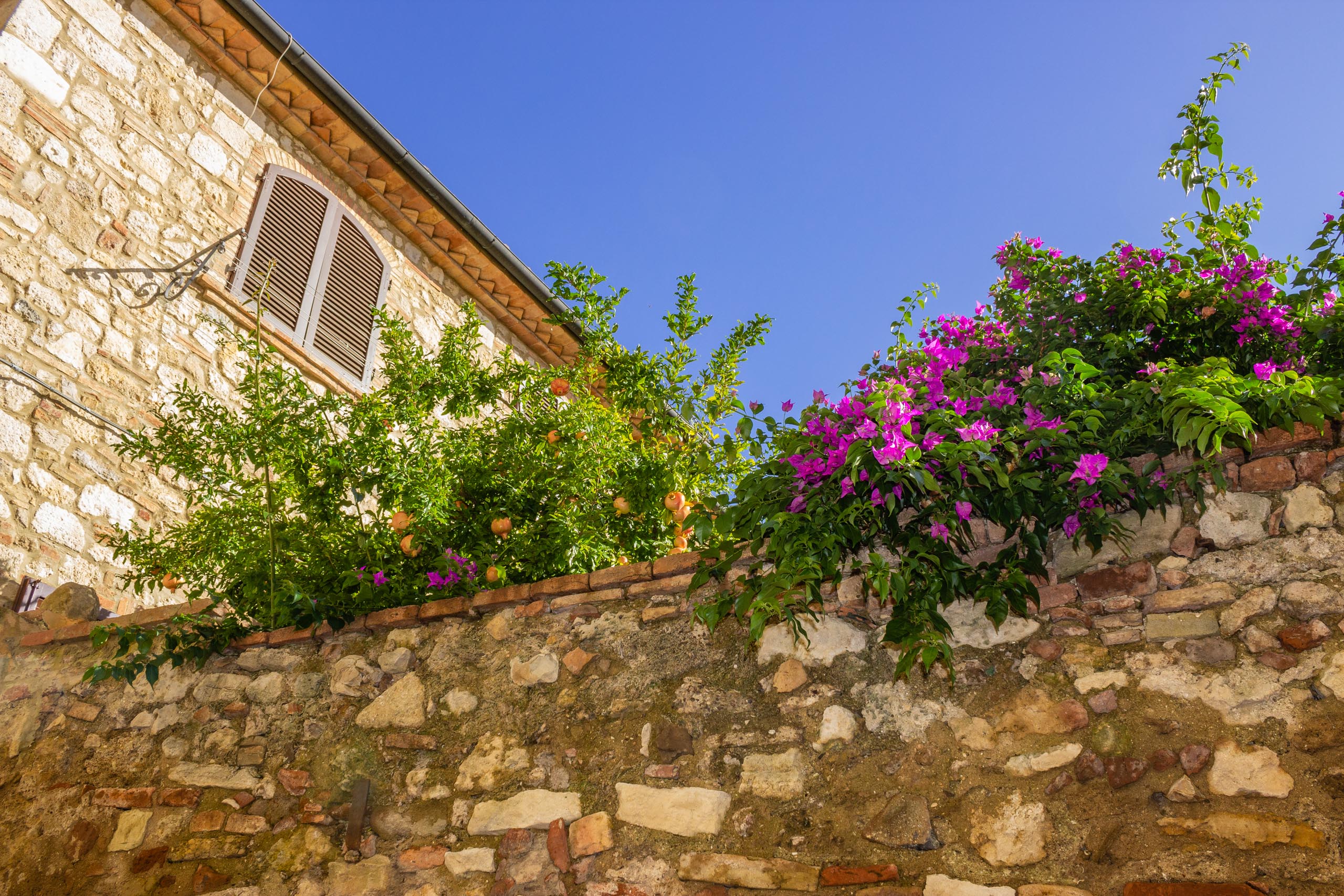 2013 10 Toskana Bibbona 011