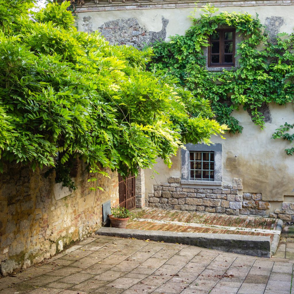 2013 10 Toskana Guardistallo 001