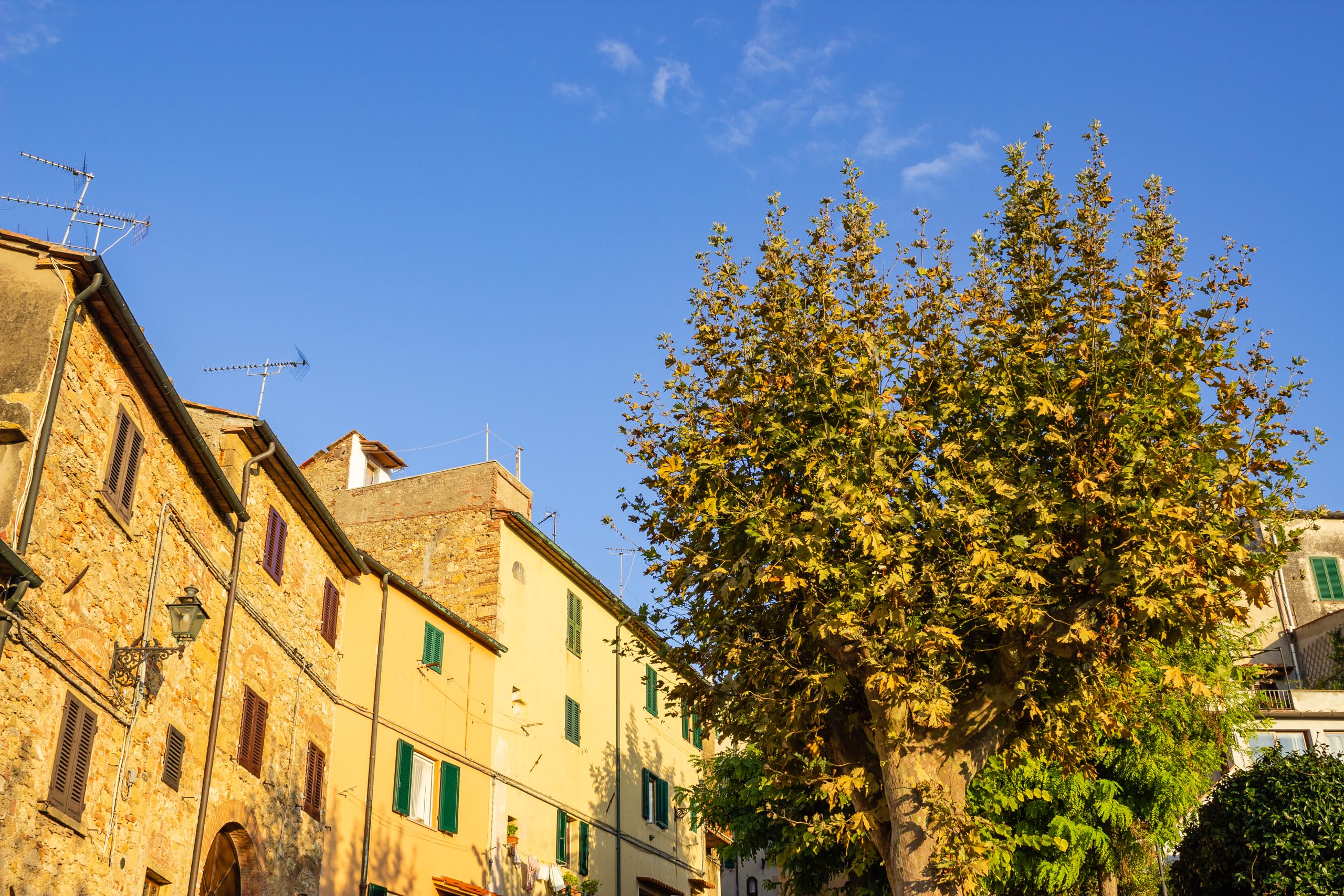 2013 10 Tuscany Guardistallo 007