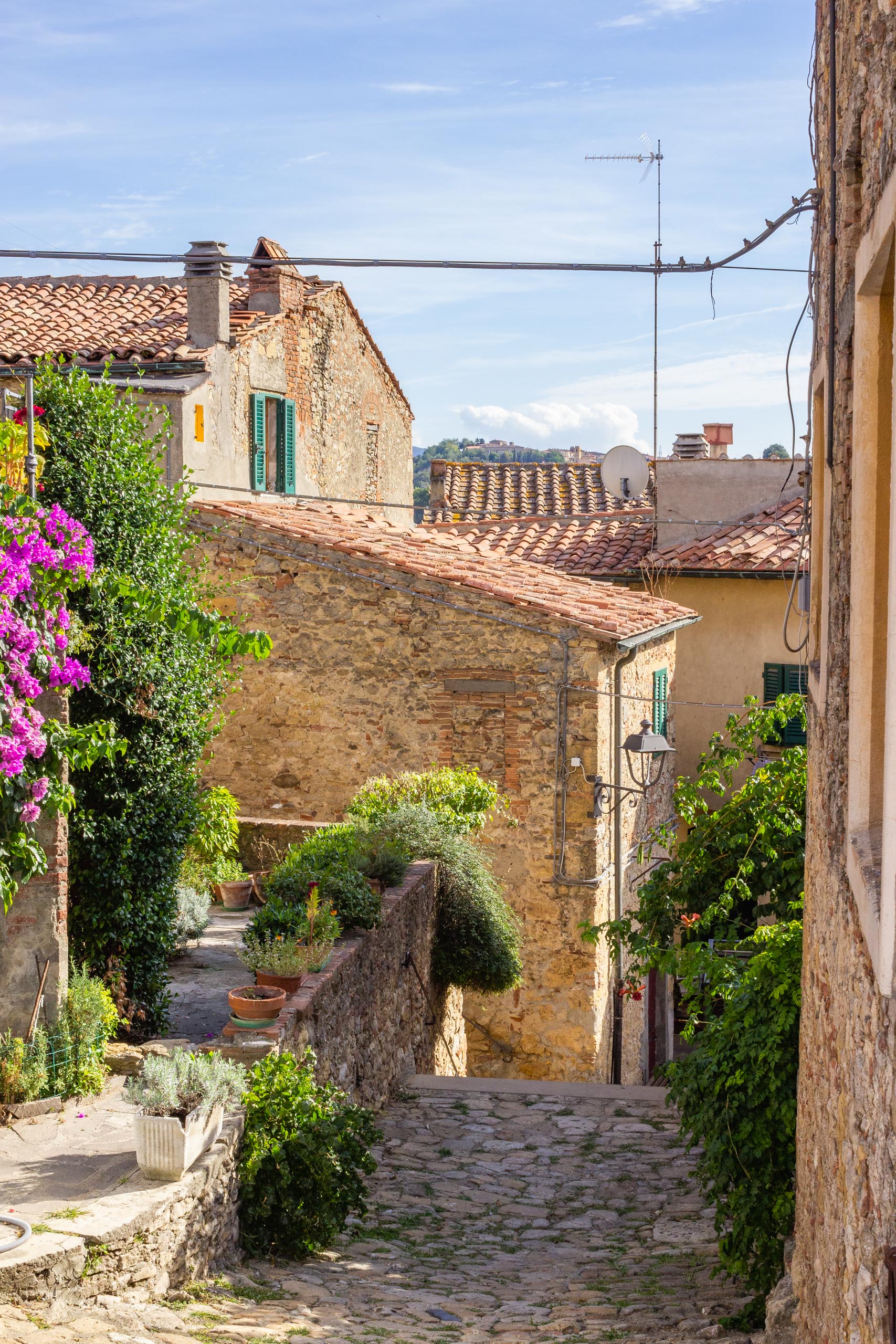 2013 10 Toskana Montescudaio 006