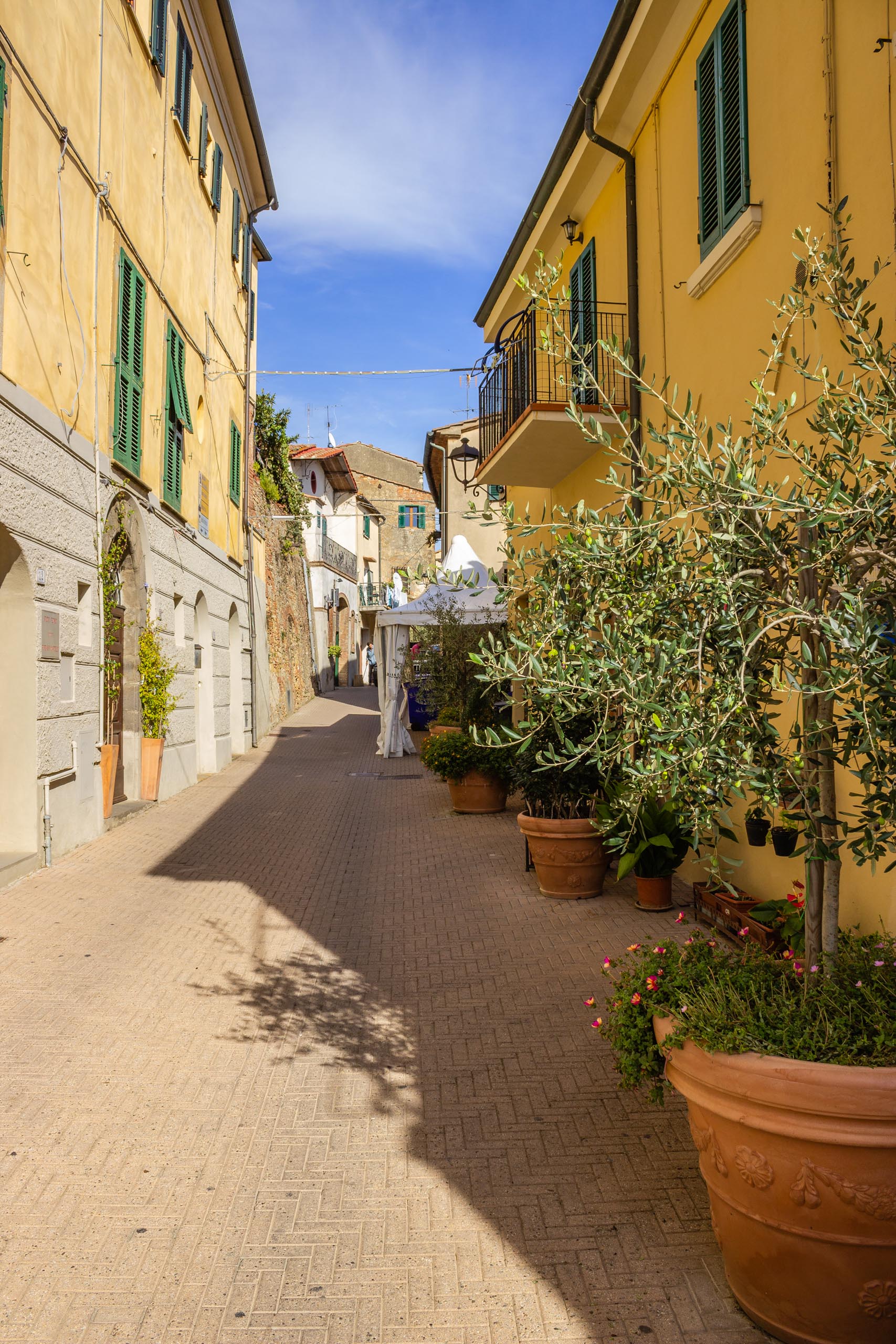 2013 10 Toskana Montescudaio 007